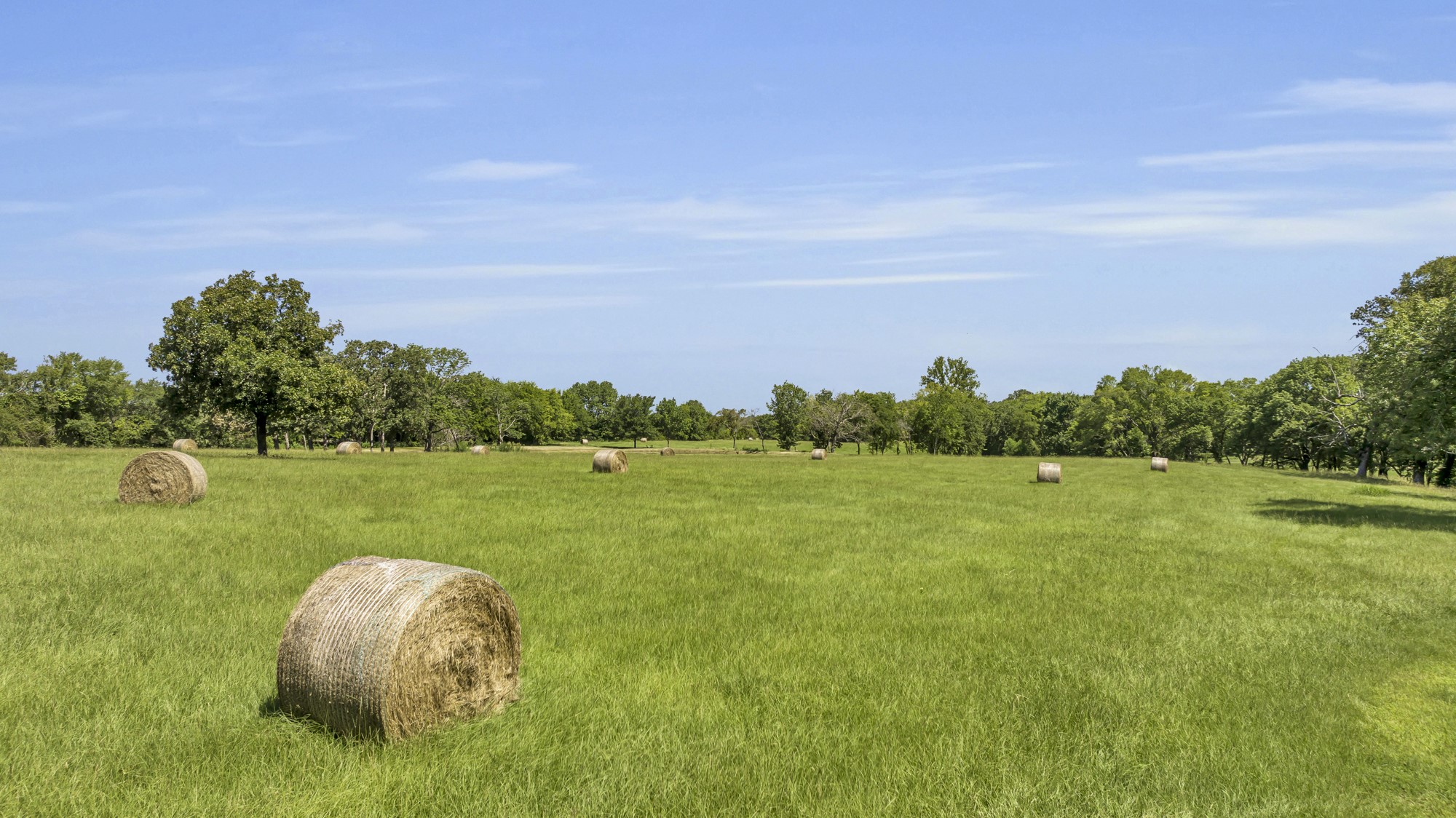 365 County Road 1534 Alba TX 75410