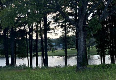 14244 Caddo Creek Circle Larue TX 75770