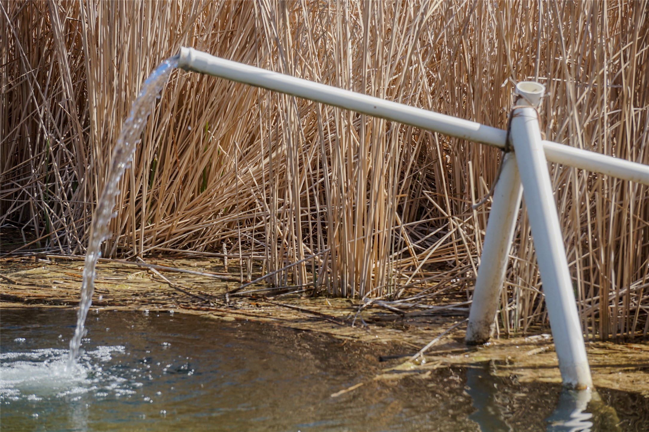 11137 County Road 348 Abilene TX 79601