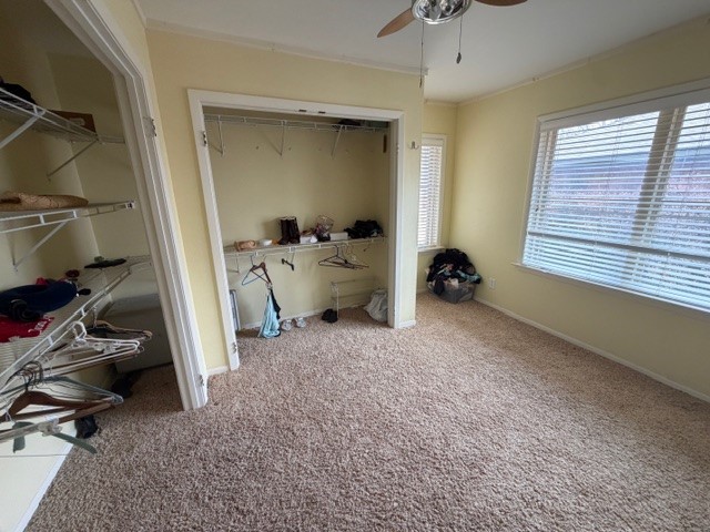 2842 Woodmere Drive Dallas TX 75233