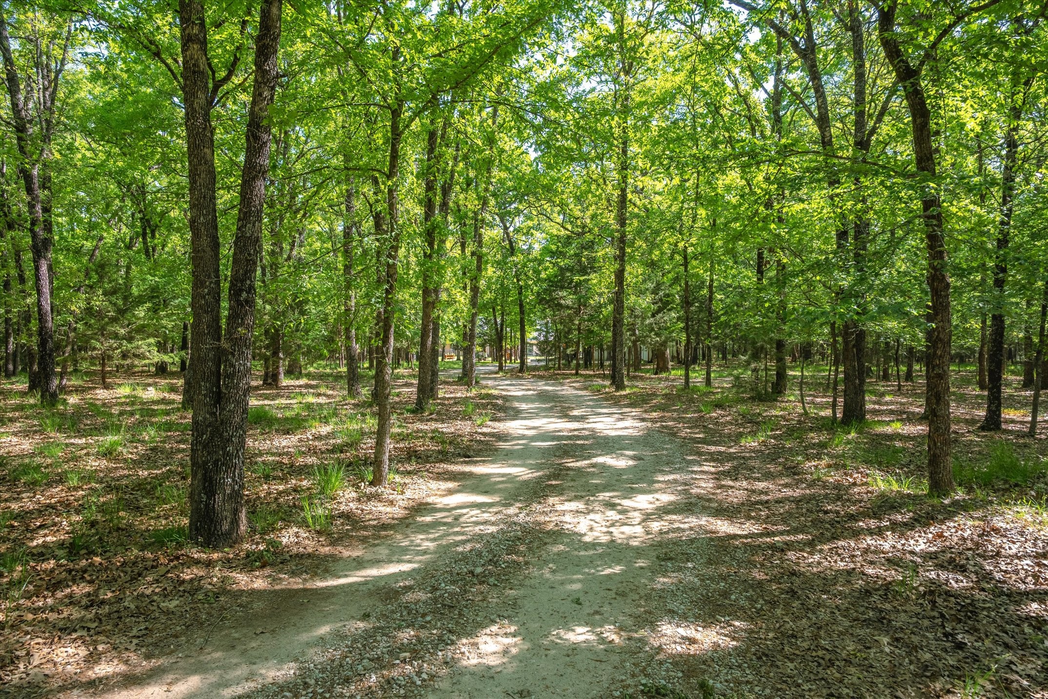 8004 County Road 2412 Quinlan TX 75474