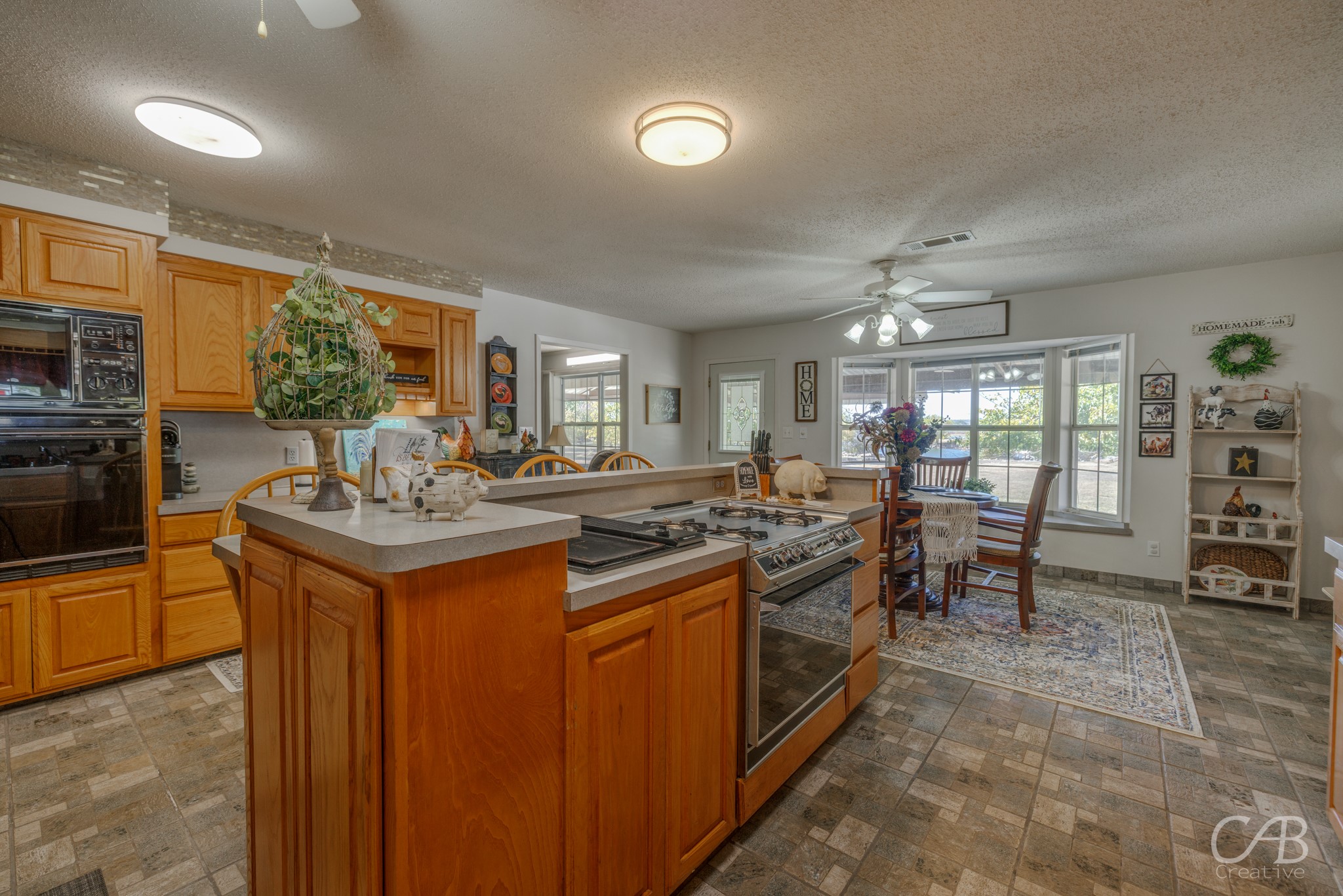 155 Lakeview Drive Coleman TX 76834