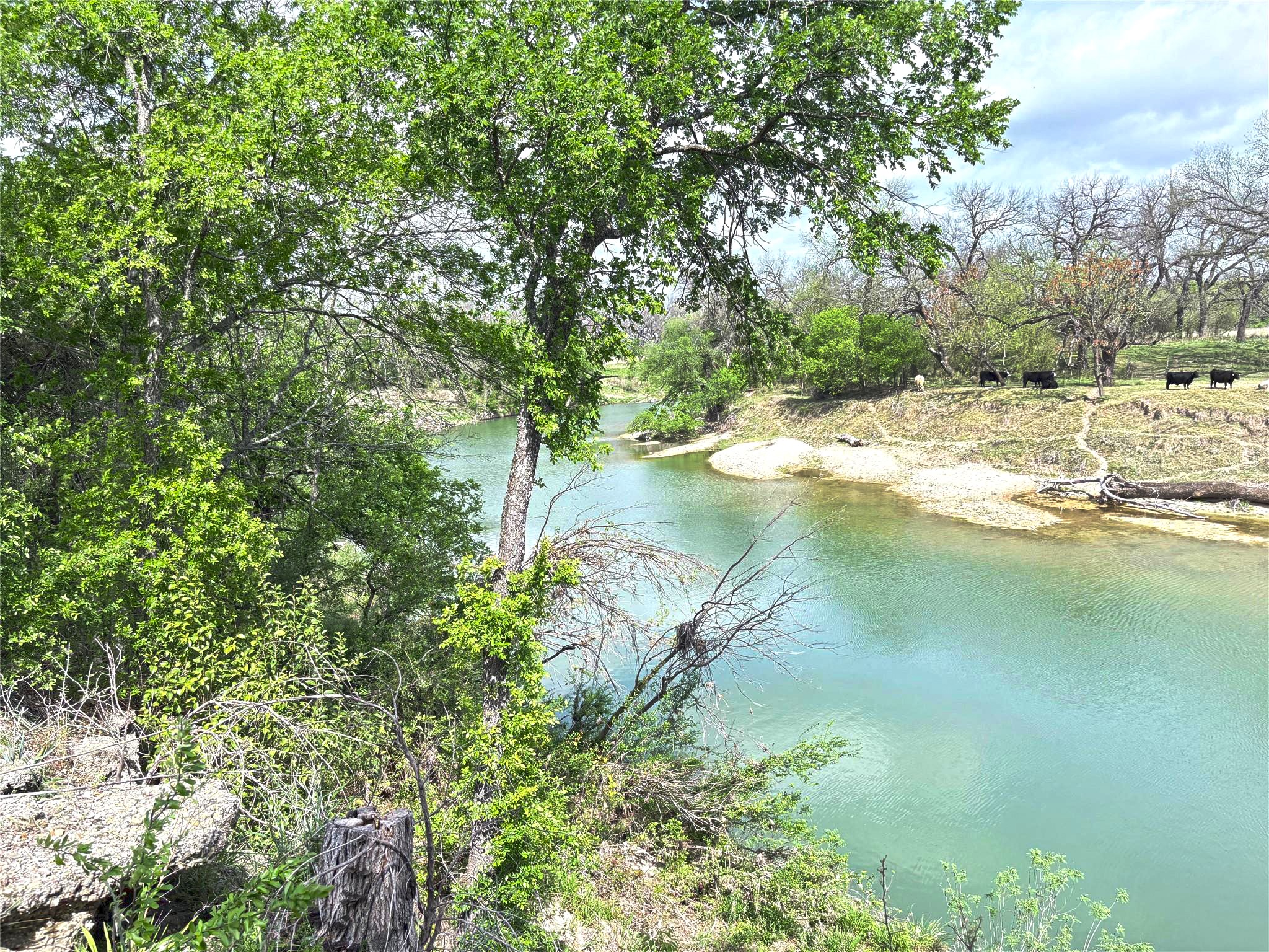 173 County Road 3112 Clifton TX 76634