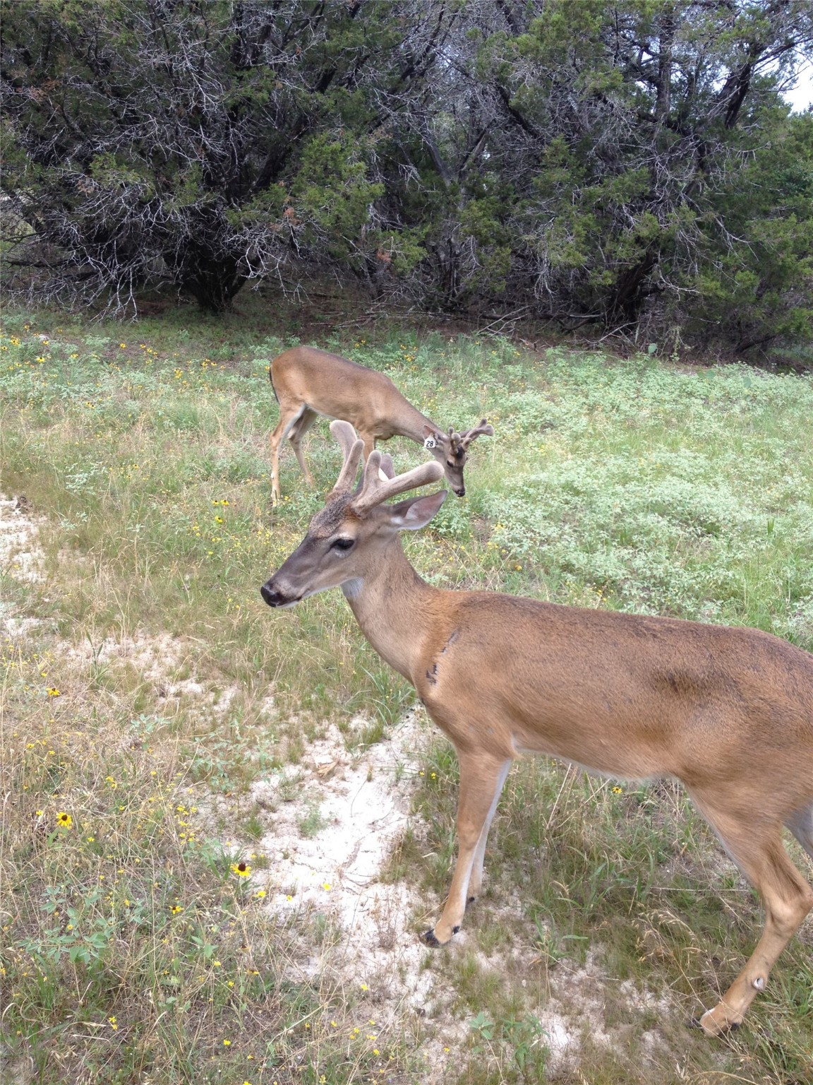 7807 Tx-6 Clifton TX 76634
