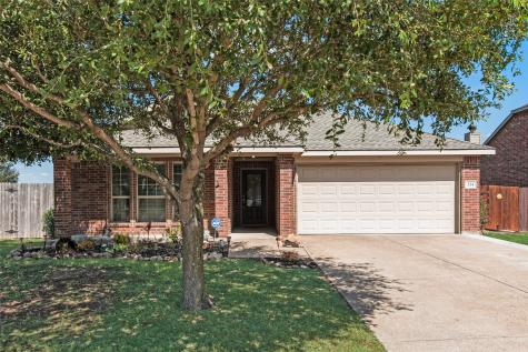 314 Fountain View Lane Josephine TX 75173