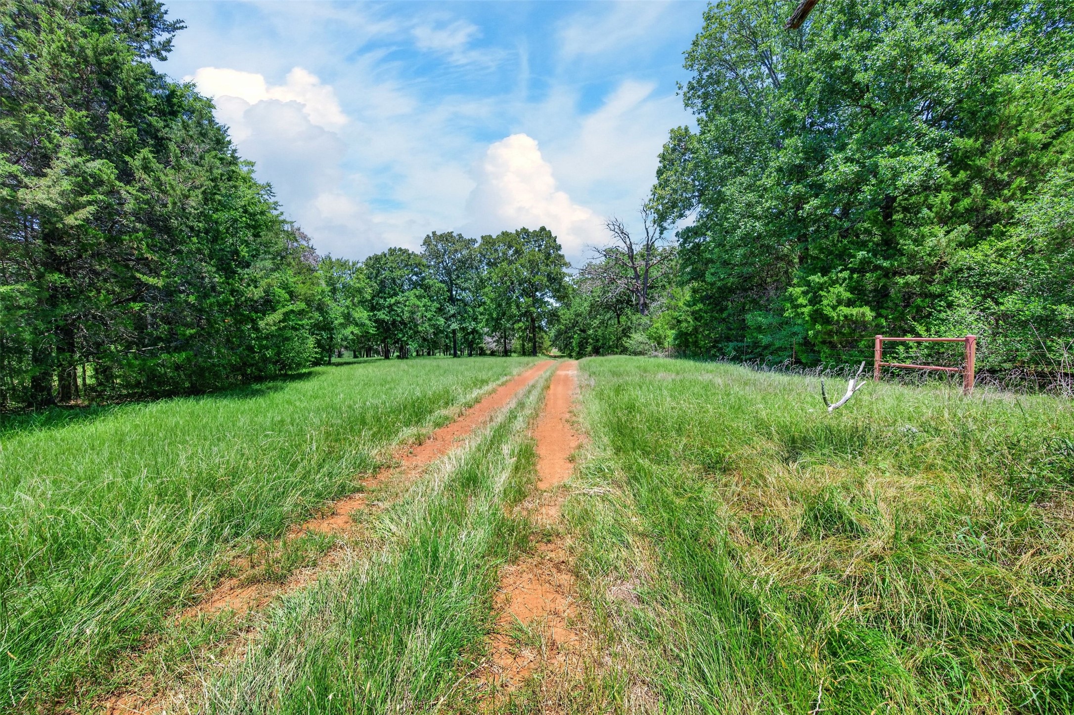 1053 Acr 499 Athens TX 75751