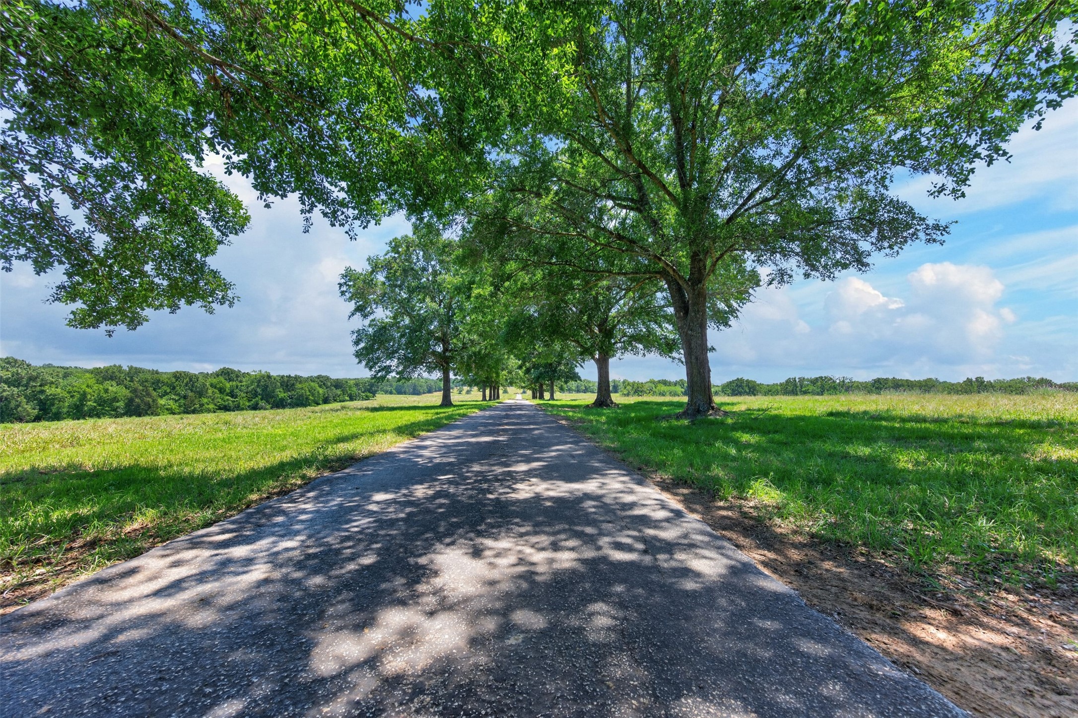 1053 Acr 499 Athens TX 75751
