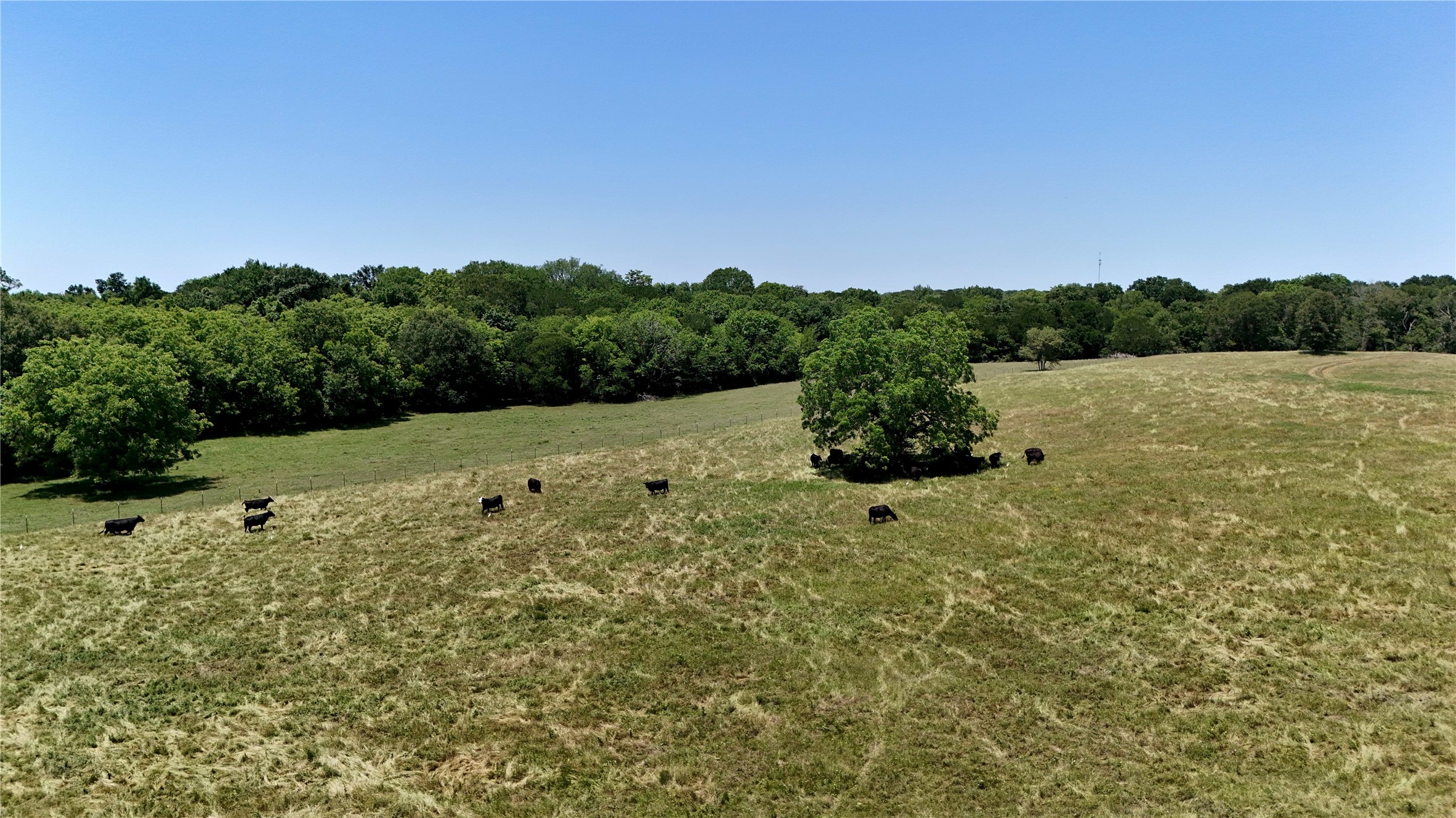 1053 Acr 499 Athens TX 75751