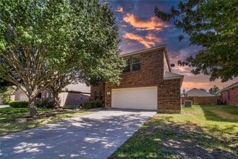 146 Arbordale Way Princeton TX 75407