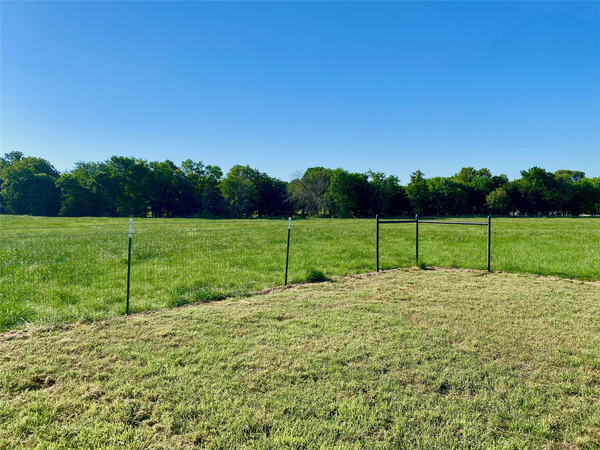 405 County Road 1264 Whitesboro TX 76273