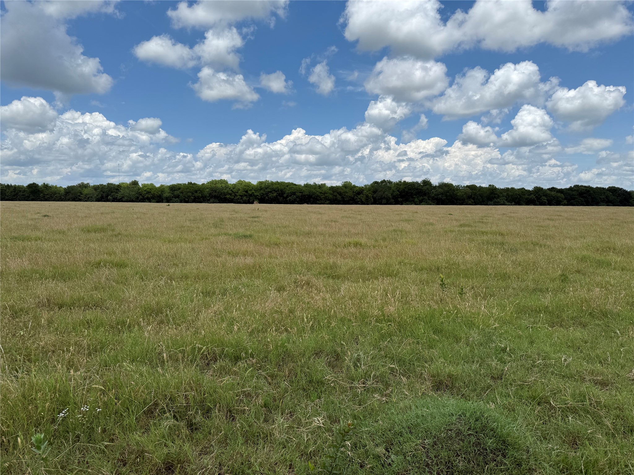 18048 Us-69 Whitewright TX 75491