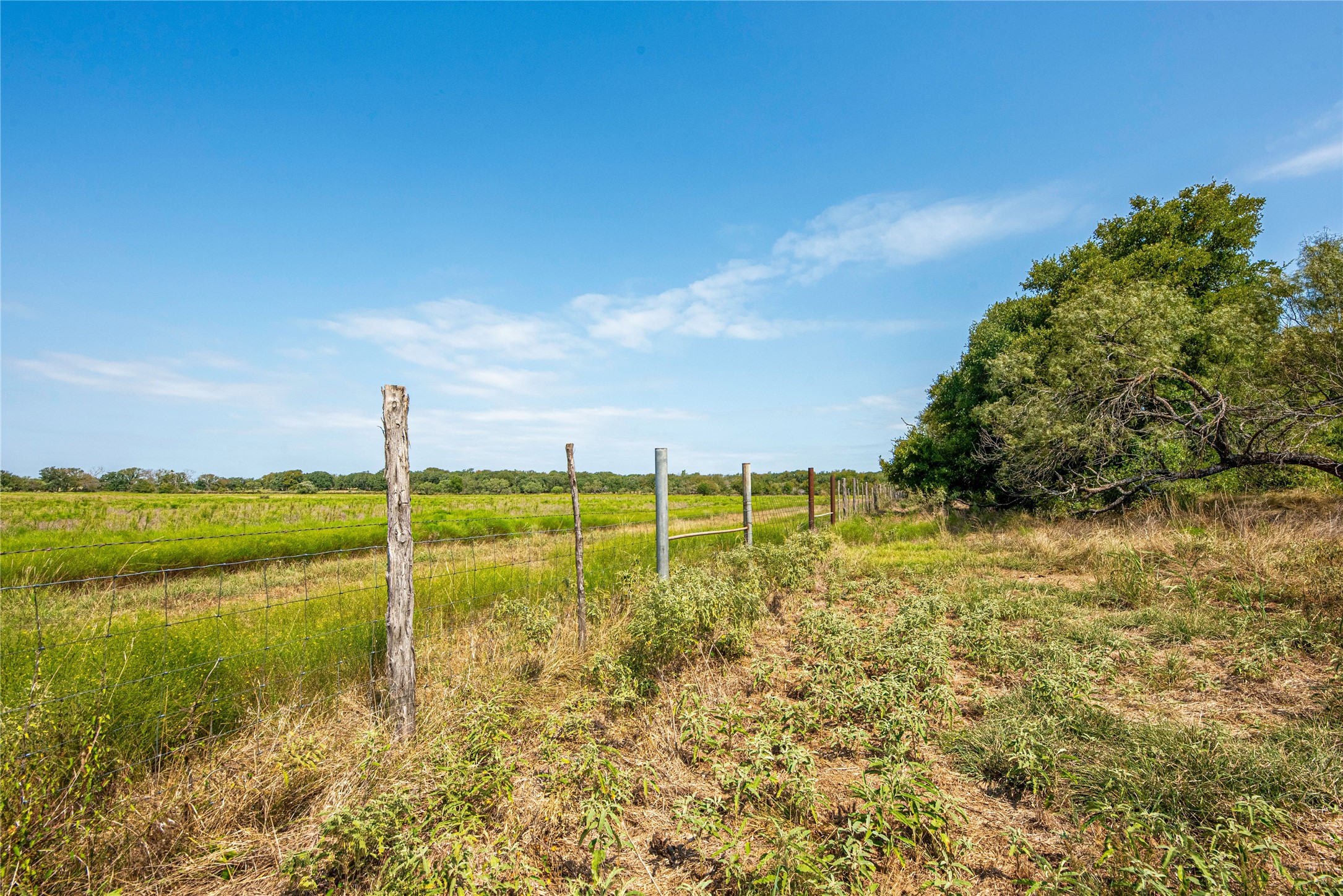 7435 County Road 265 Dublin TX 76446