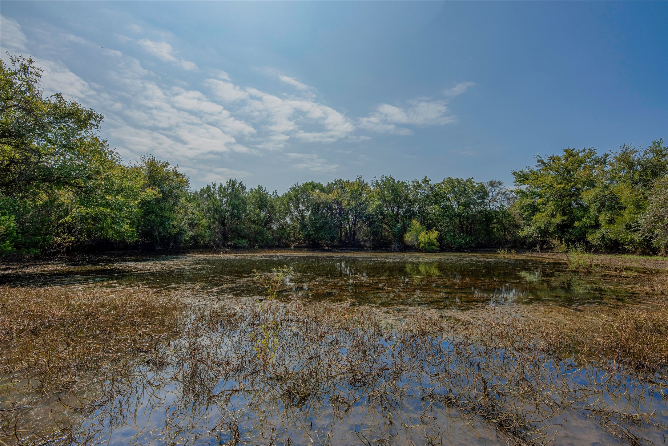 7435 County Road 265 Dublin TX 76446