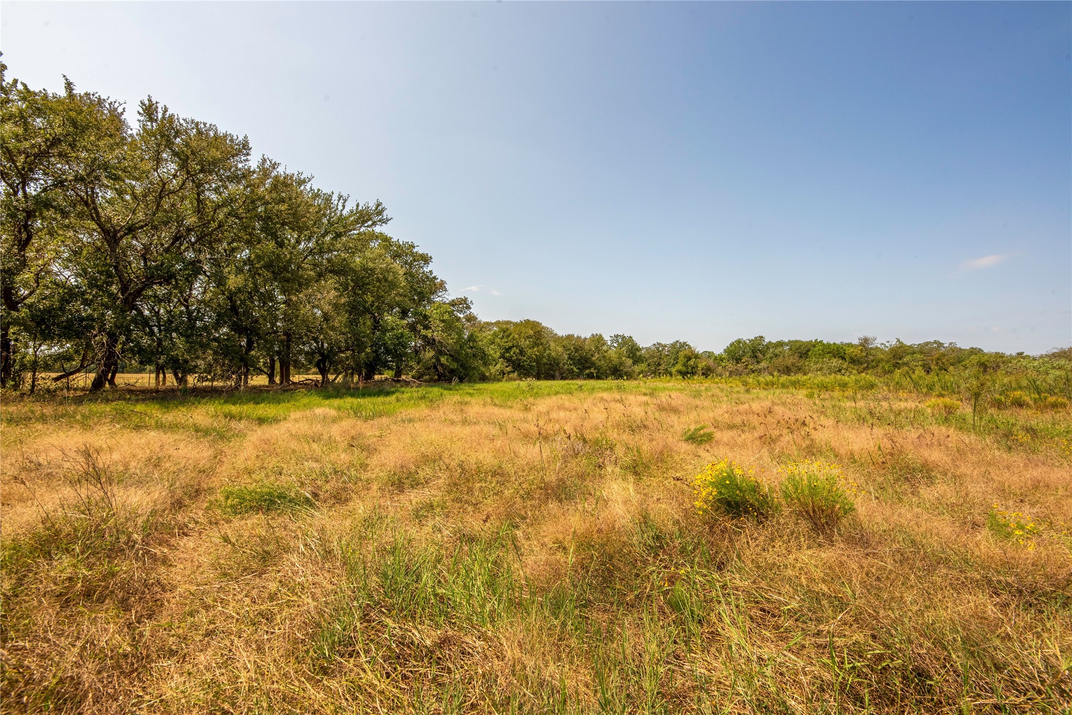 7435 County Road 265 Dublin TX 76446