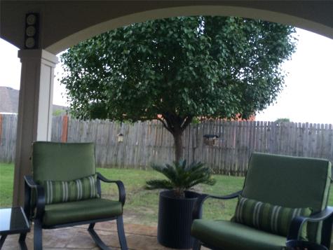 1315 Huntsville Drive Wylie TX 75098