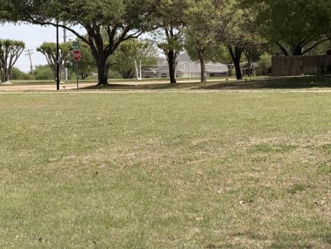 1417 Wilderness Trail Crowley TX 76036