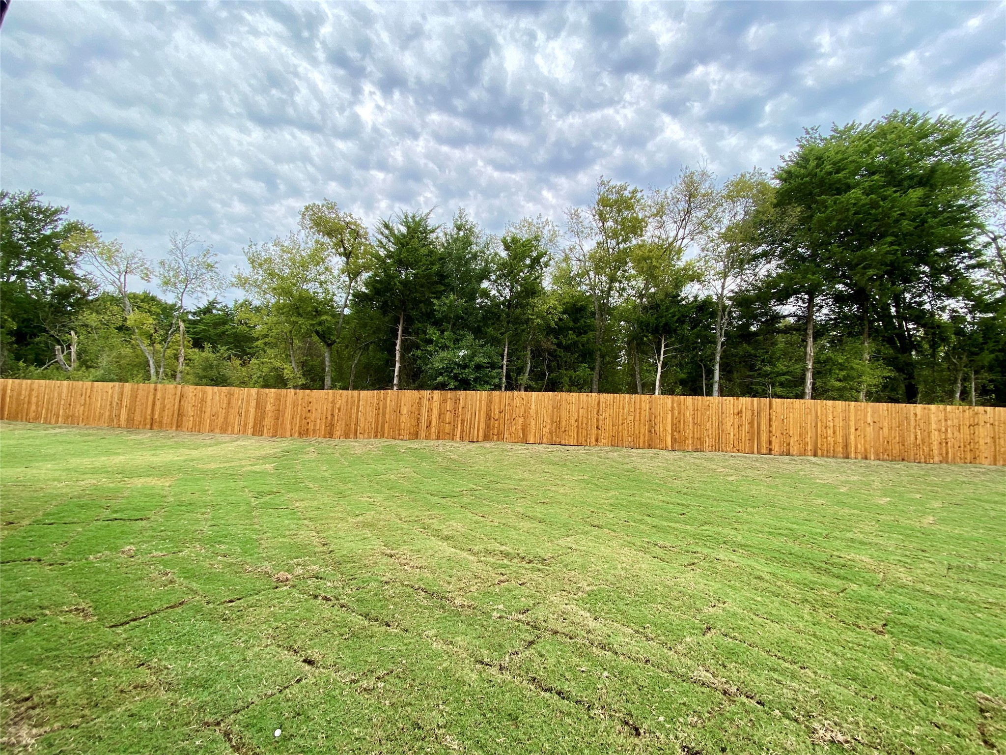 410 Aldred Street Greenville TX 75401