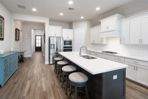 8709 Navidad Falls Drive Mckinney TX 75071
