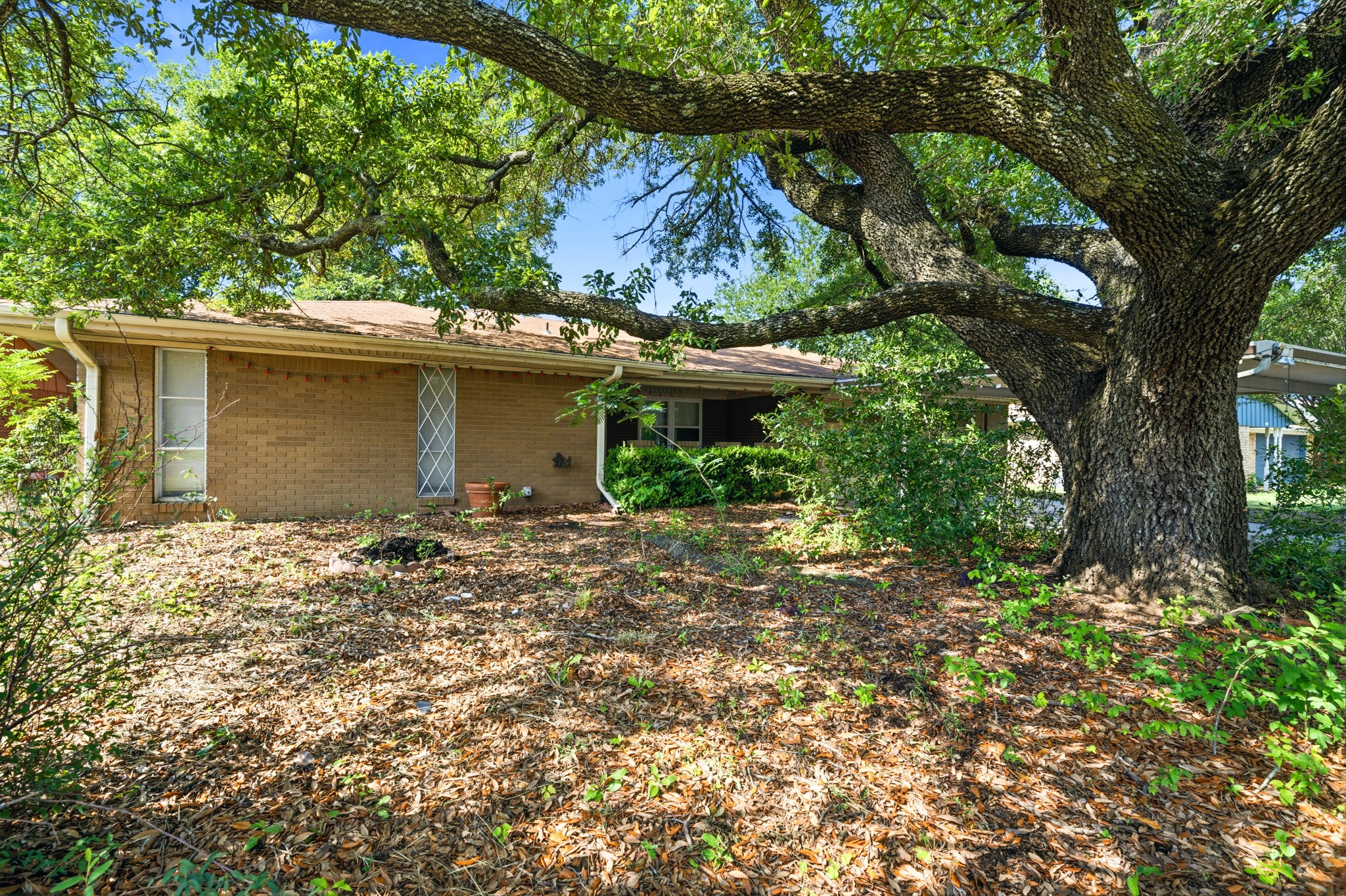 104 Forest Lane Hillsboro TX 76645