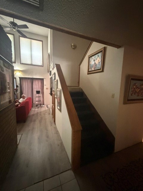 2006 Mill Run Drive Arlington TX 76006