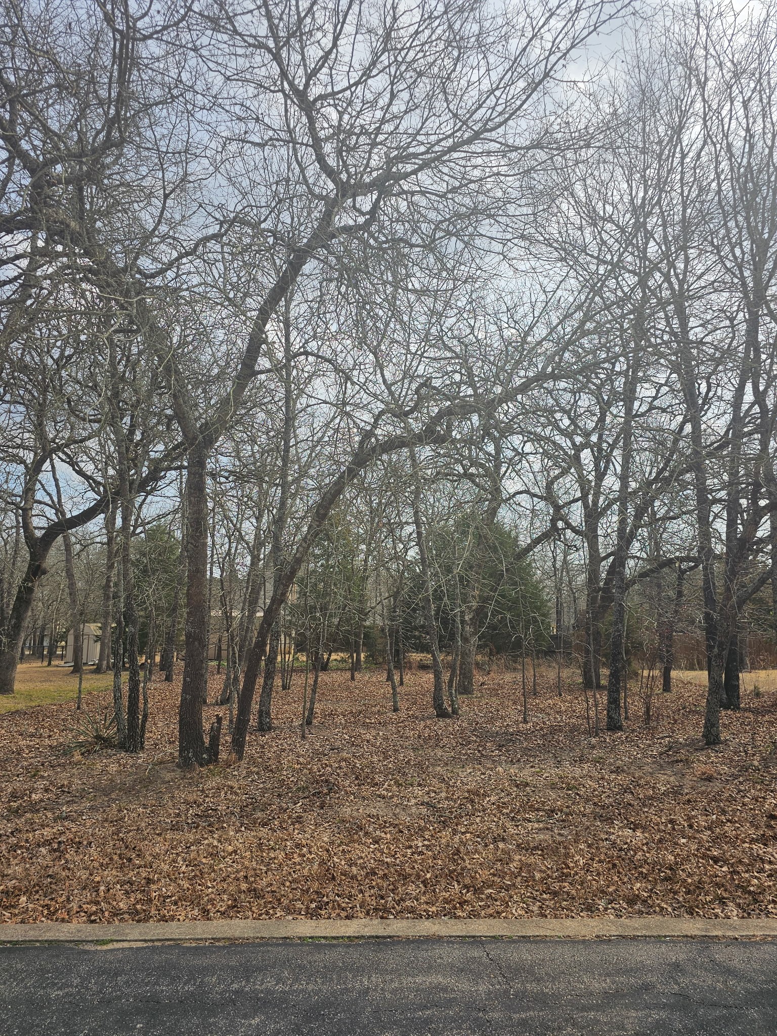 3347 Bandera Street Athens TX 75752