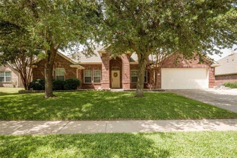 3022 Lena Drive Wylie TX 75098