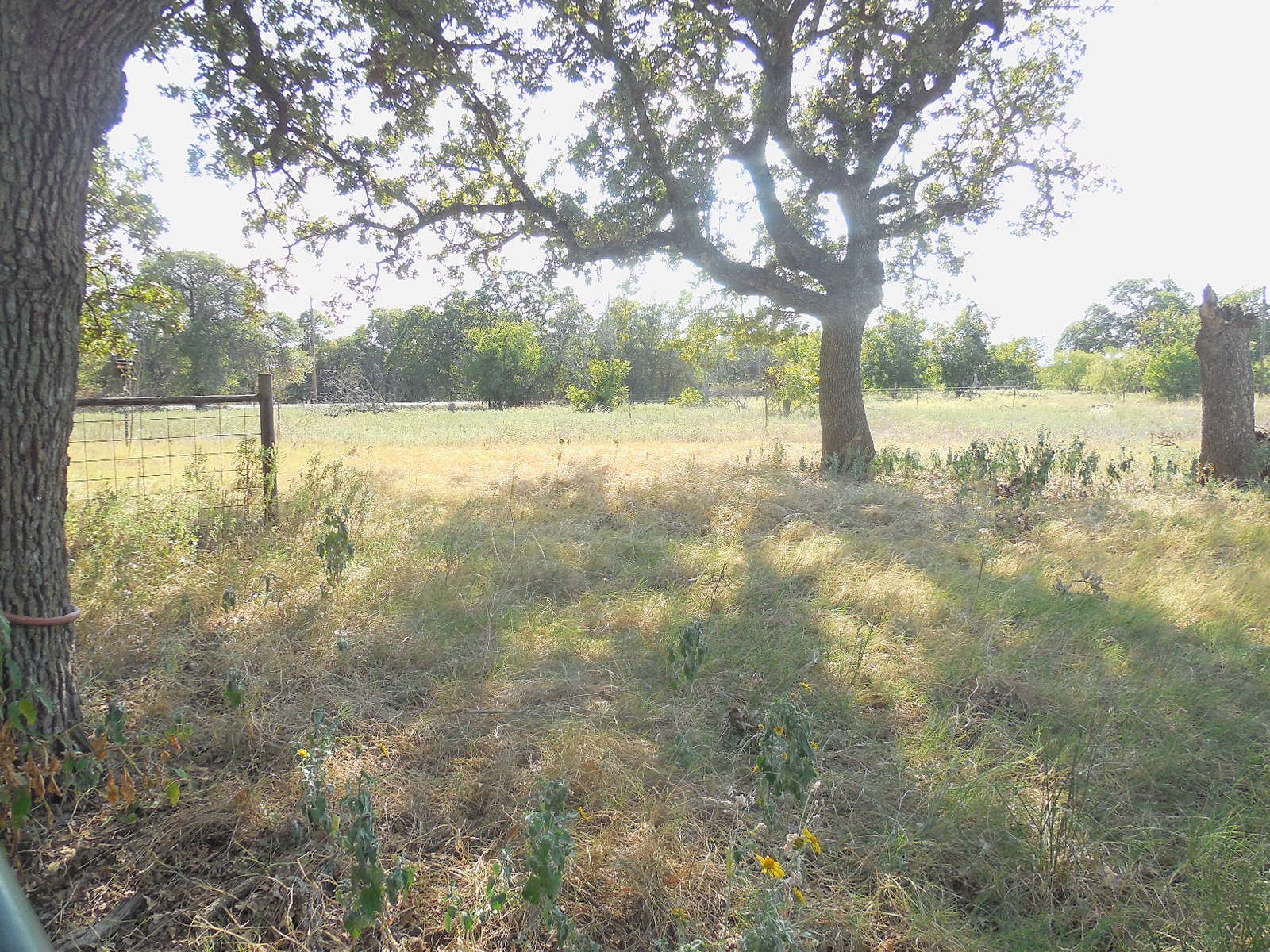 2502 Highway 112 Eastland TX 76448