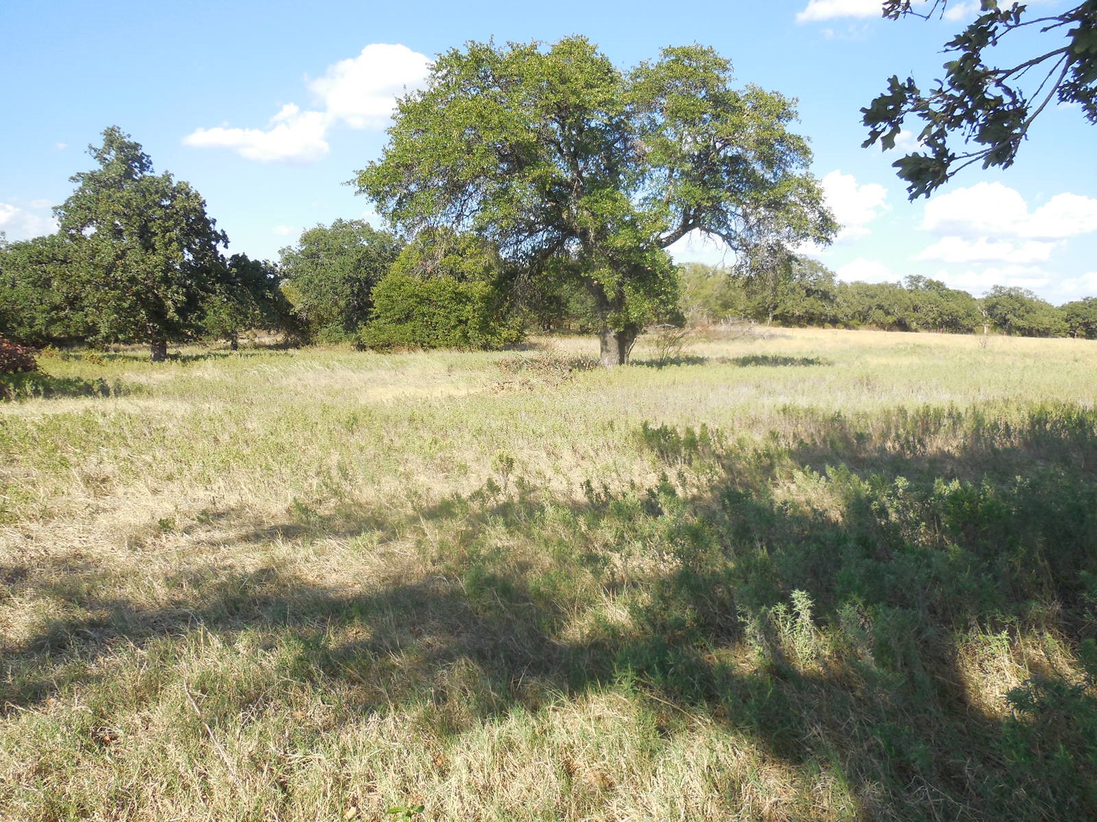 2502 Highway 112 Eastland TX 76448