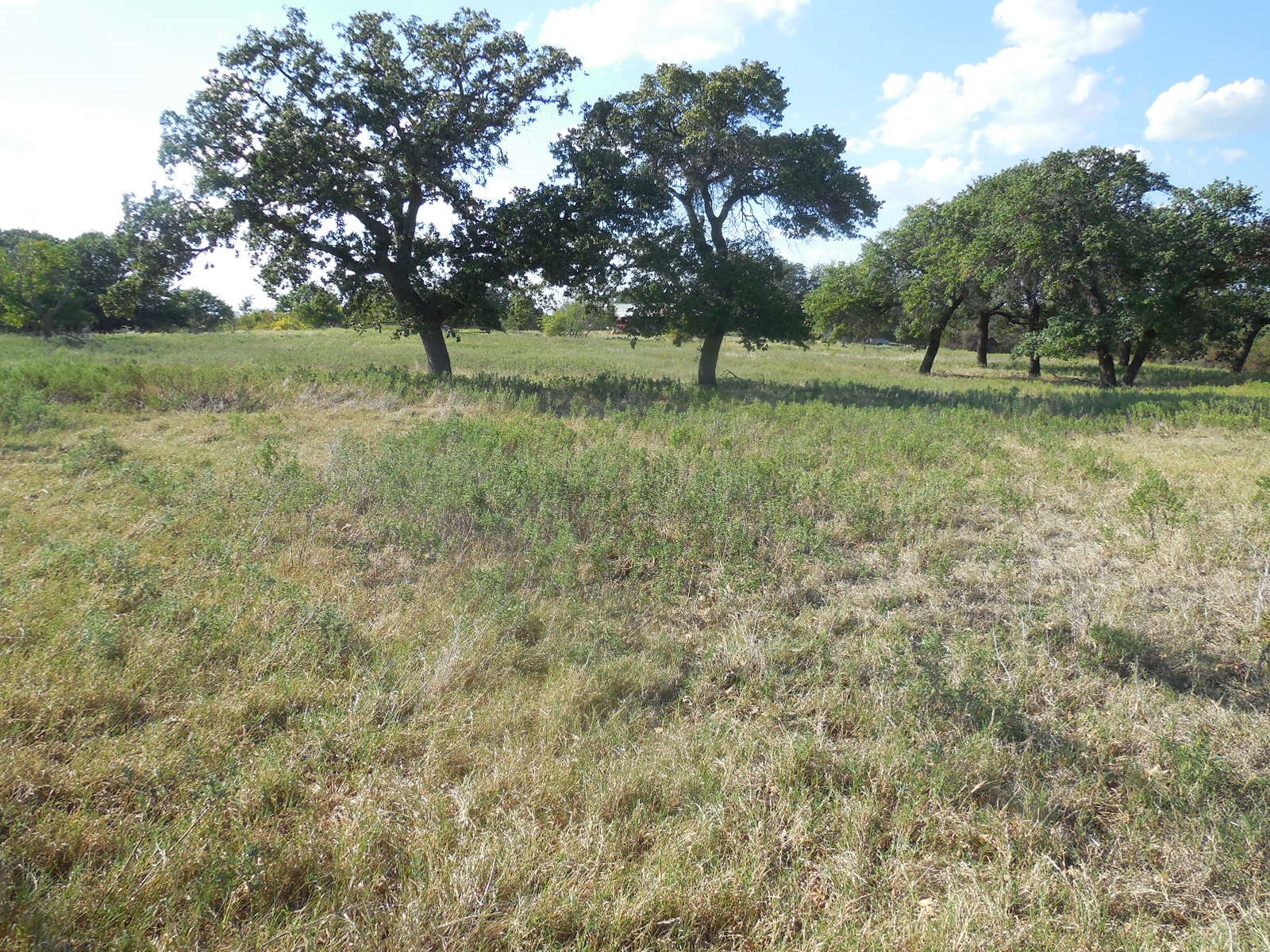 2502 Highway 112 Eastland TX 76448