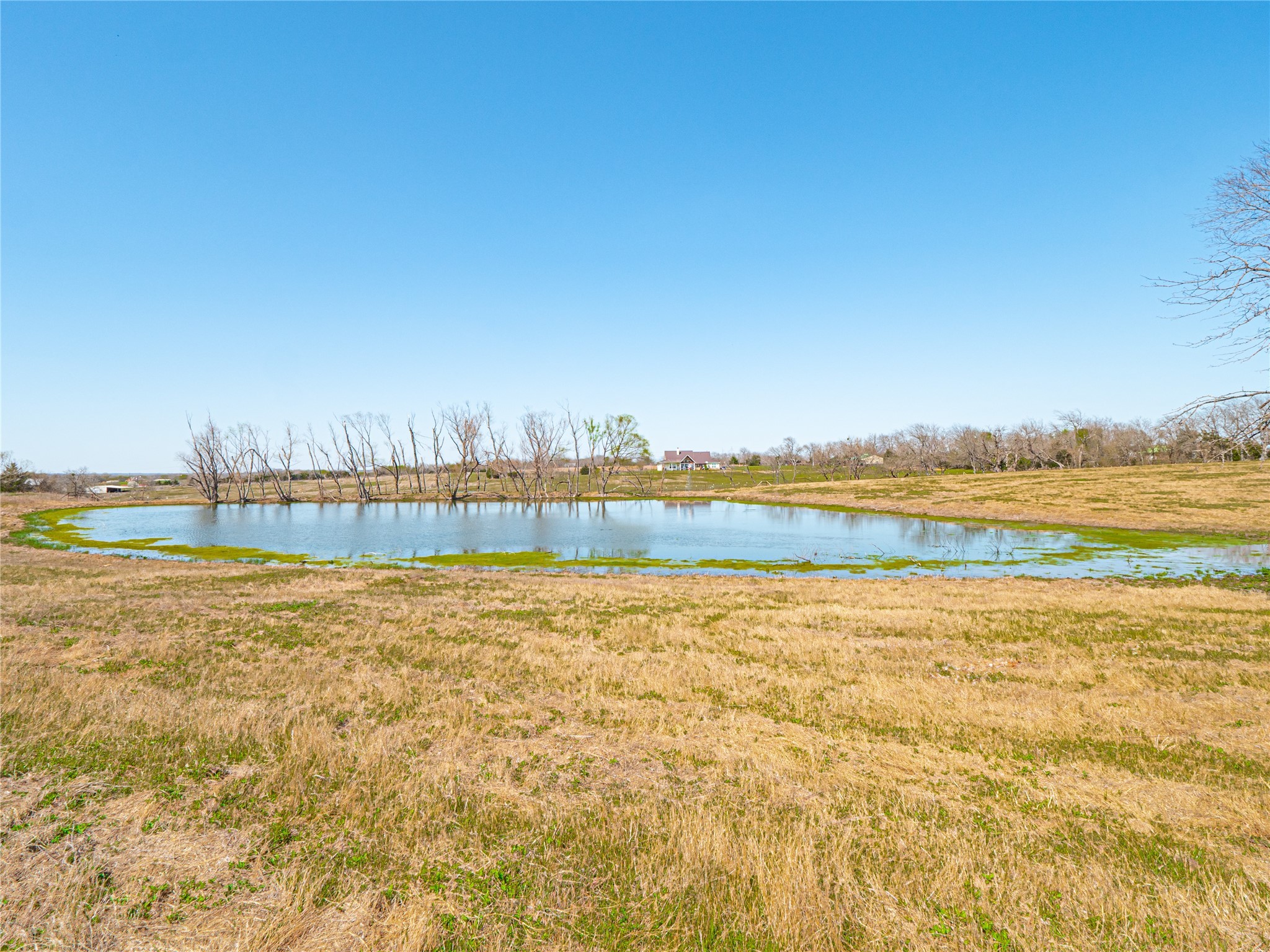 7321 N State Highway 78 Farmersville TX 75442
