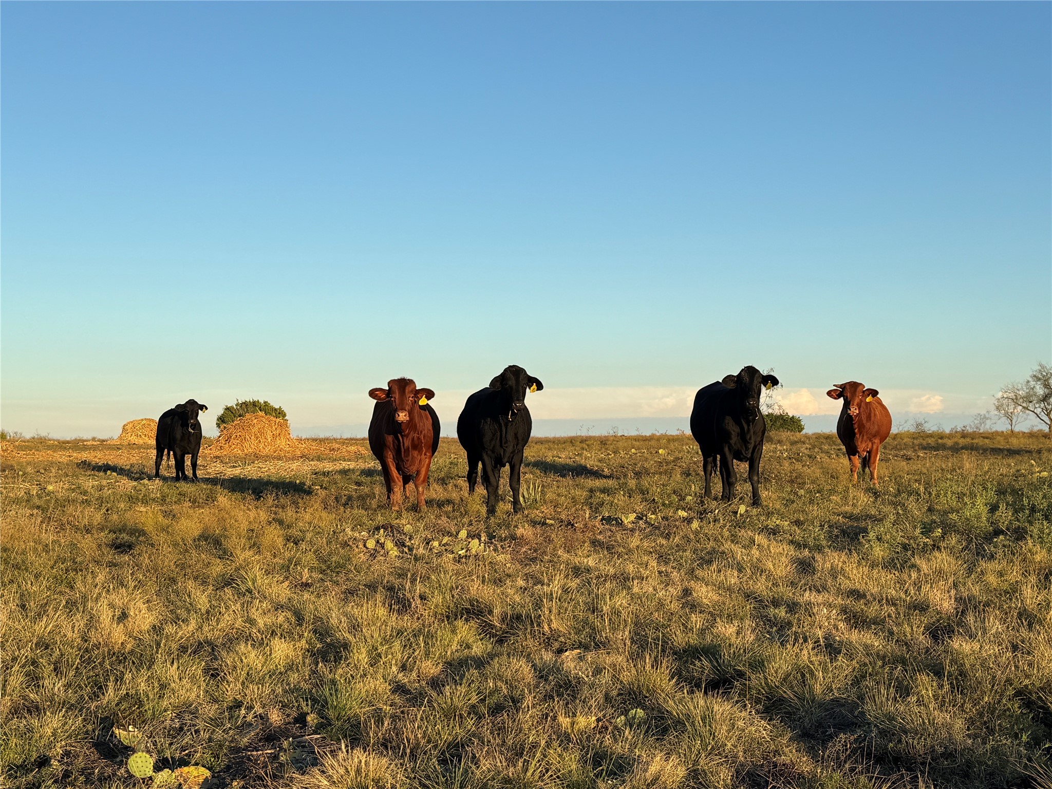 386 County Road 604 Hamilton TX 76531
