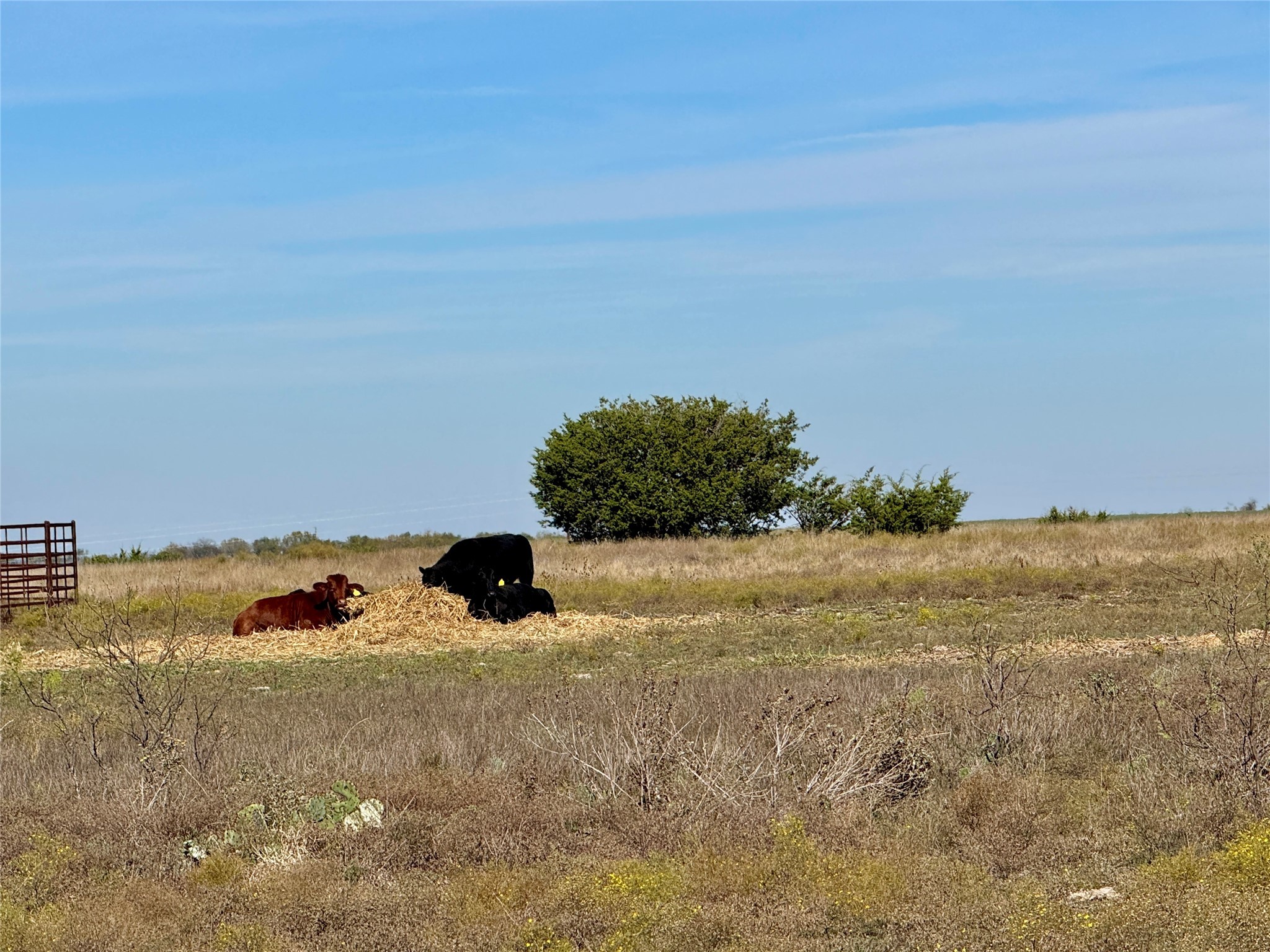 386 County Road 604 Hamilton TX 76531