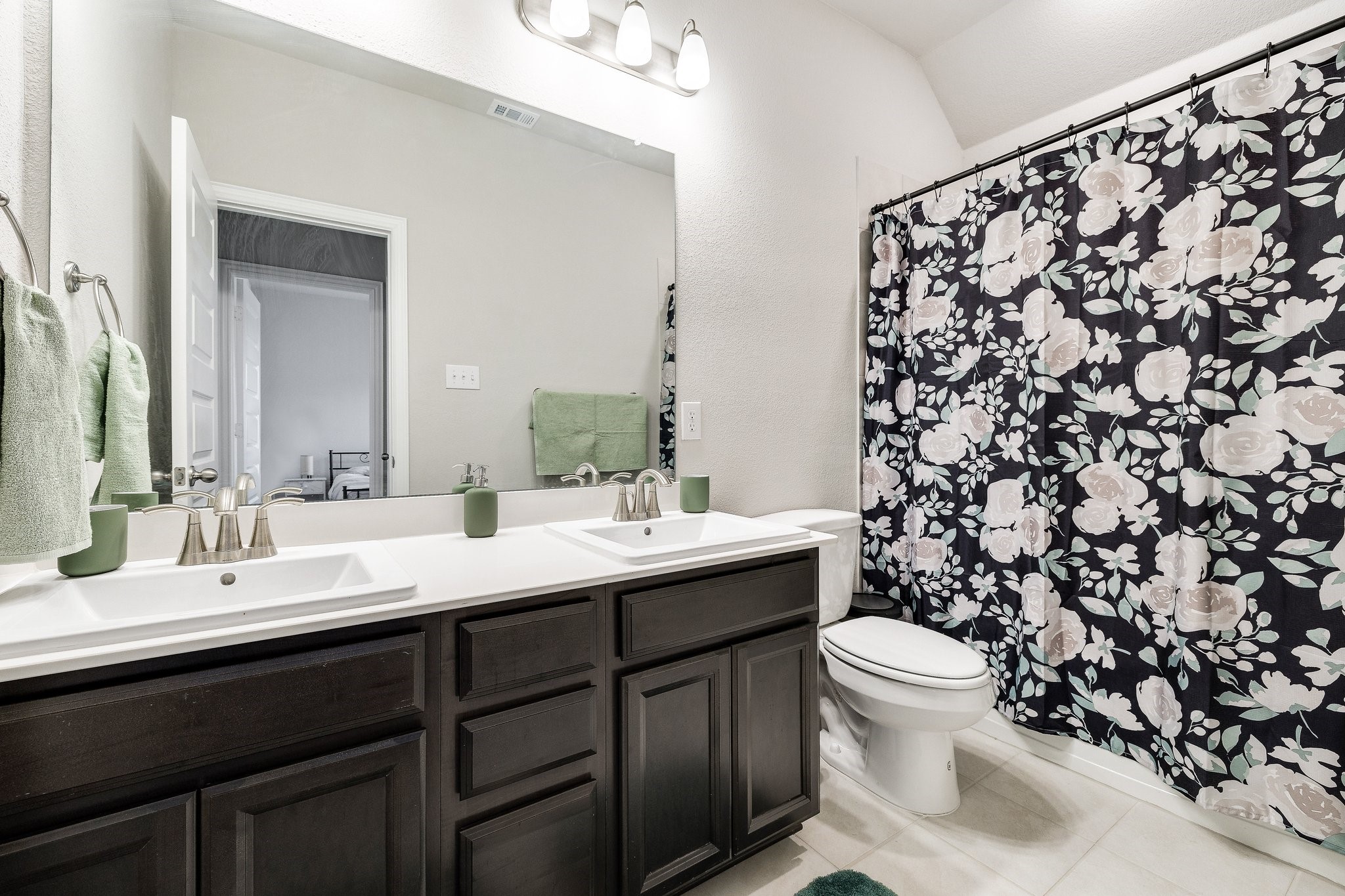 2072 Olivereta Drive Little Elm TX 75068