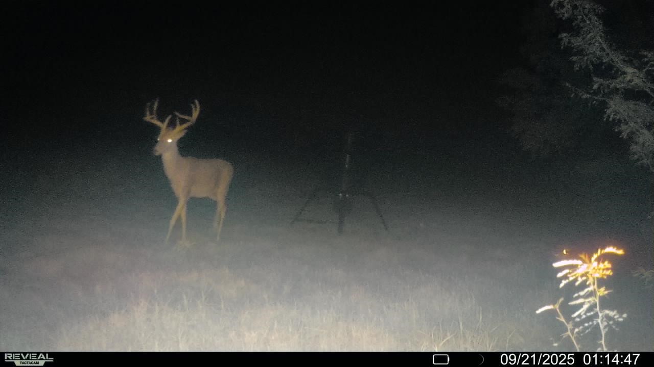 2791 Private Road 5101 Farmersville TX 75442
