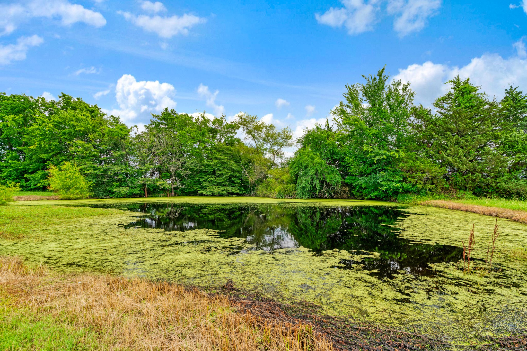 1250 Cr 32240 Sumner TX 75486