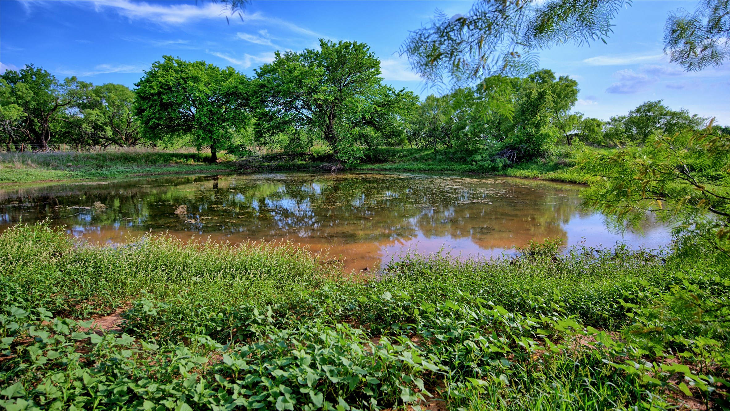 802 Fm 2634 Nocona TX 76255