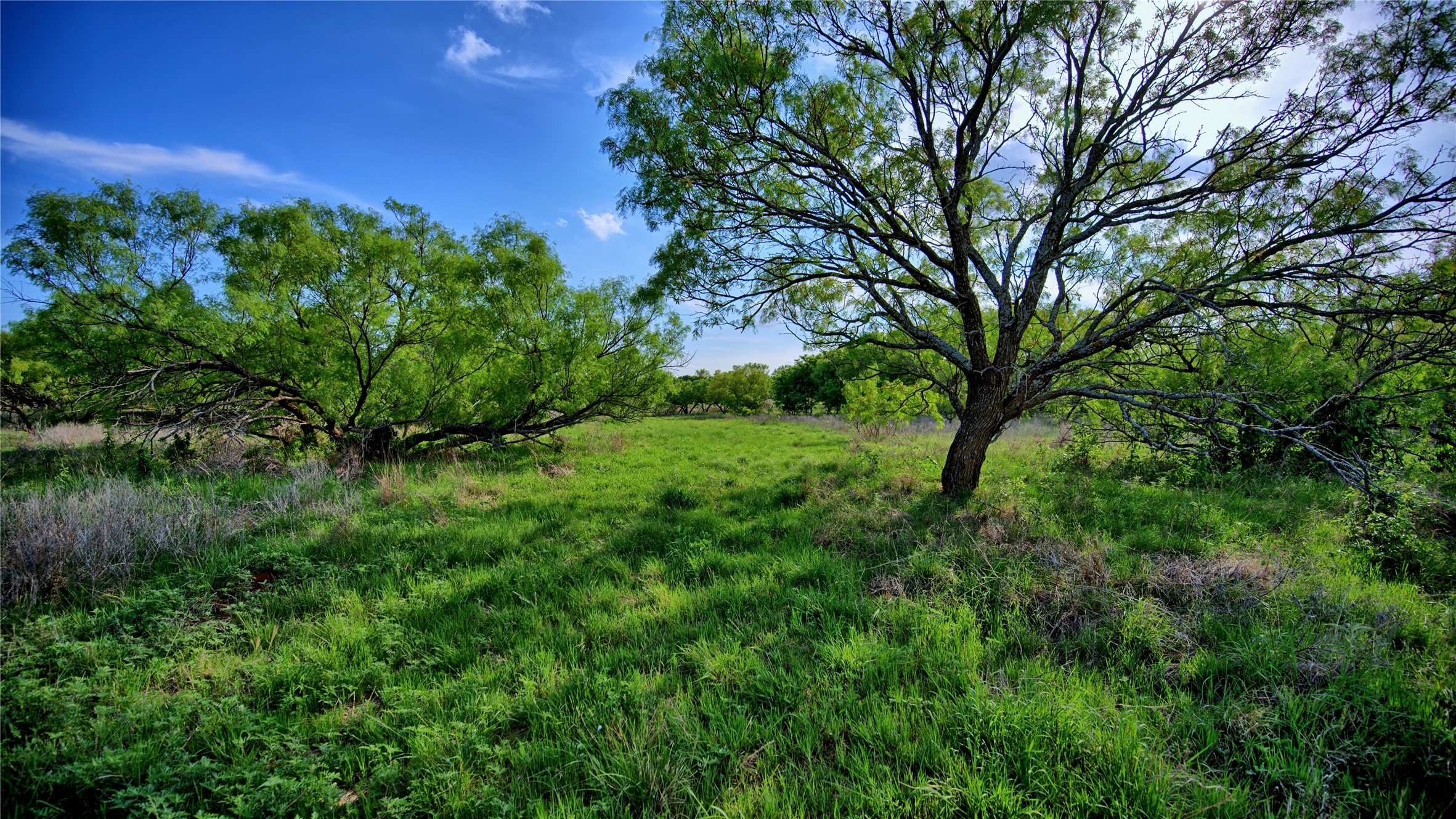 802 Fm 2634 Nocona TX 76255