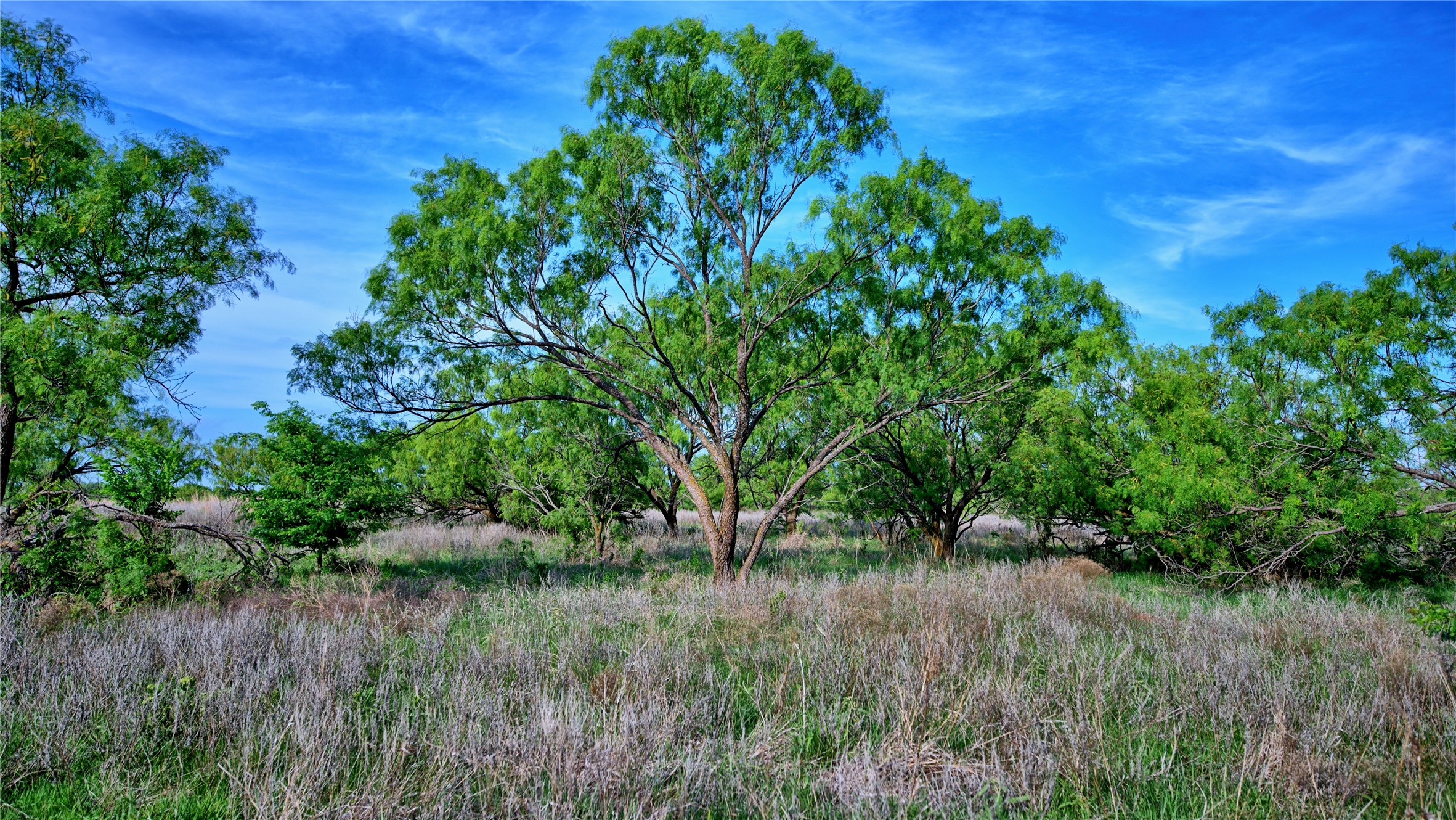 802 Fm 2634 Nocona TX 76255
