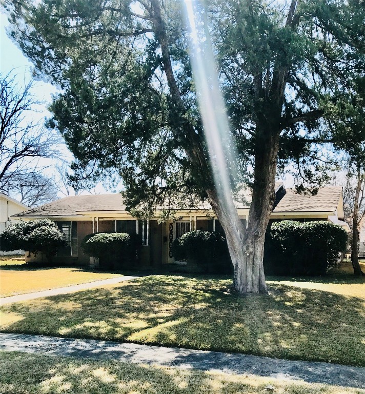 11234 Cactus Lane Dallas TX 75238