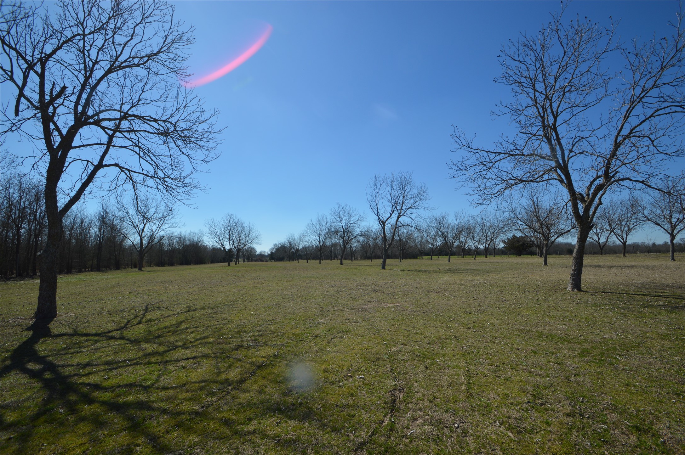 4881 White Rock Lone Oak TX 75453