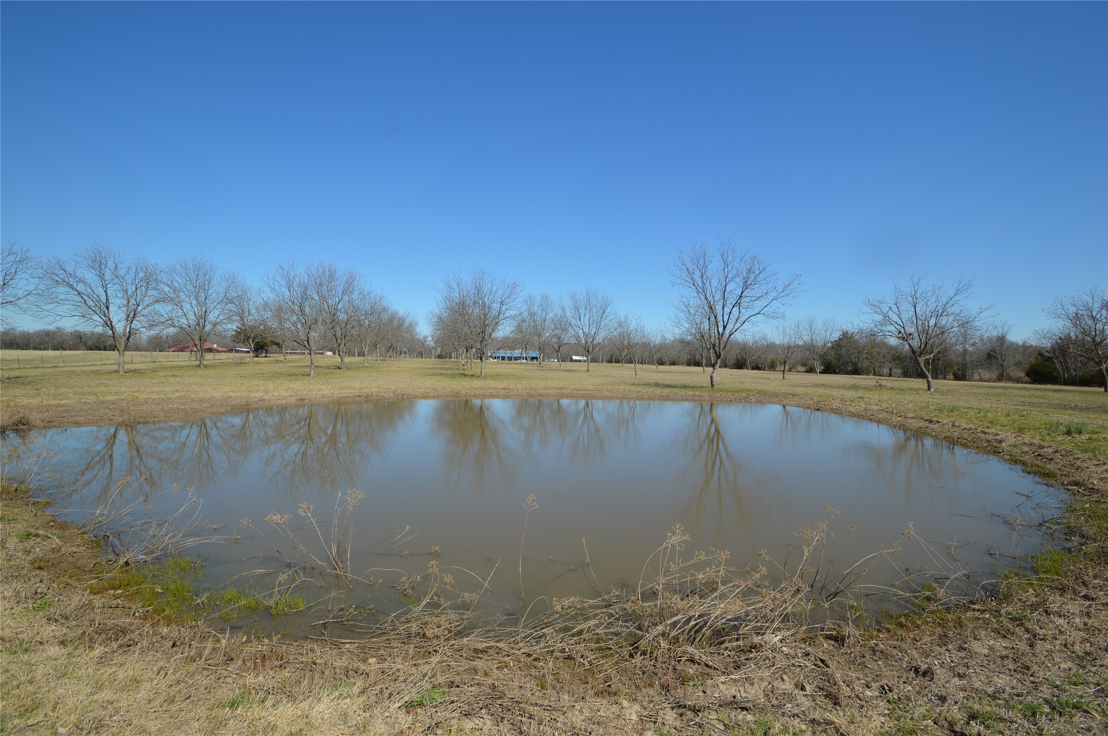 4881 White Rock Lone Oak TX 75453