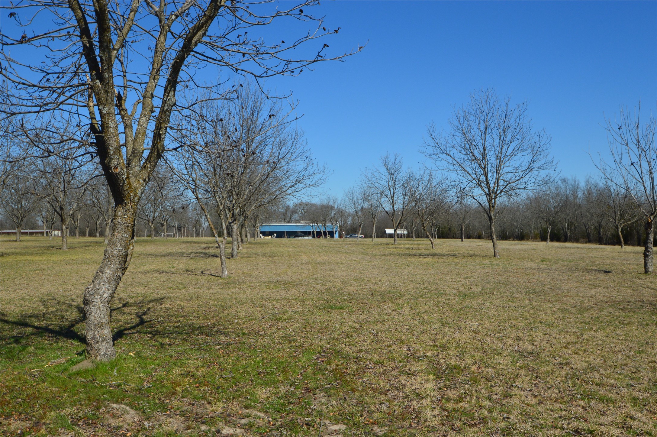 4881 White Rock Lone Oak TX 75453