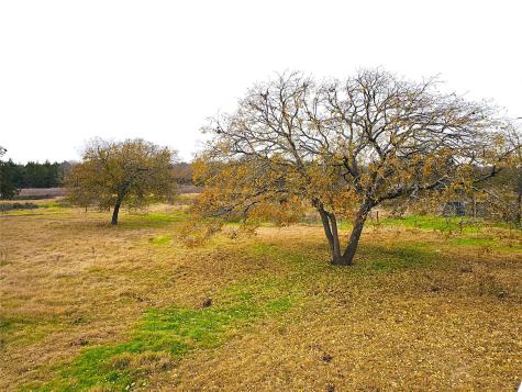 2240 County Road 2162 Barry TX 75102