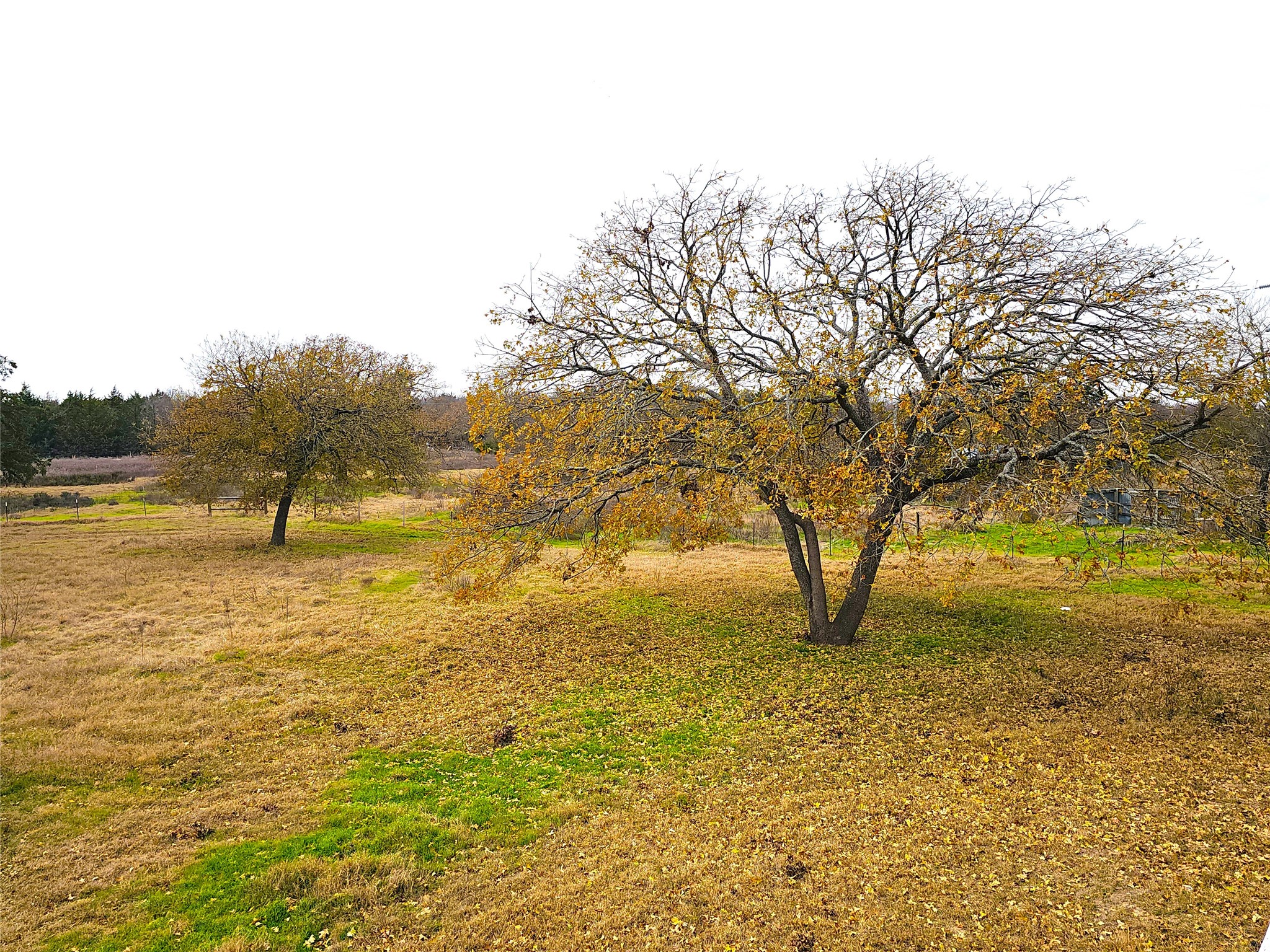 2240 County Road 2162 Barry TX 75102