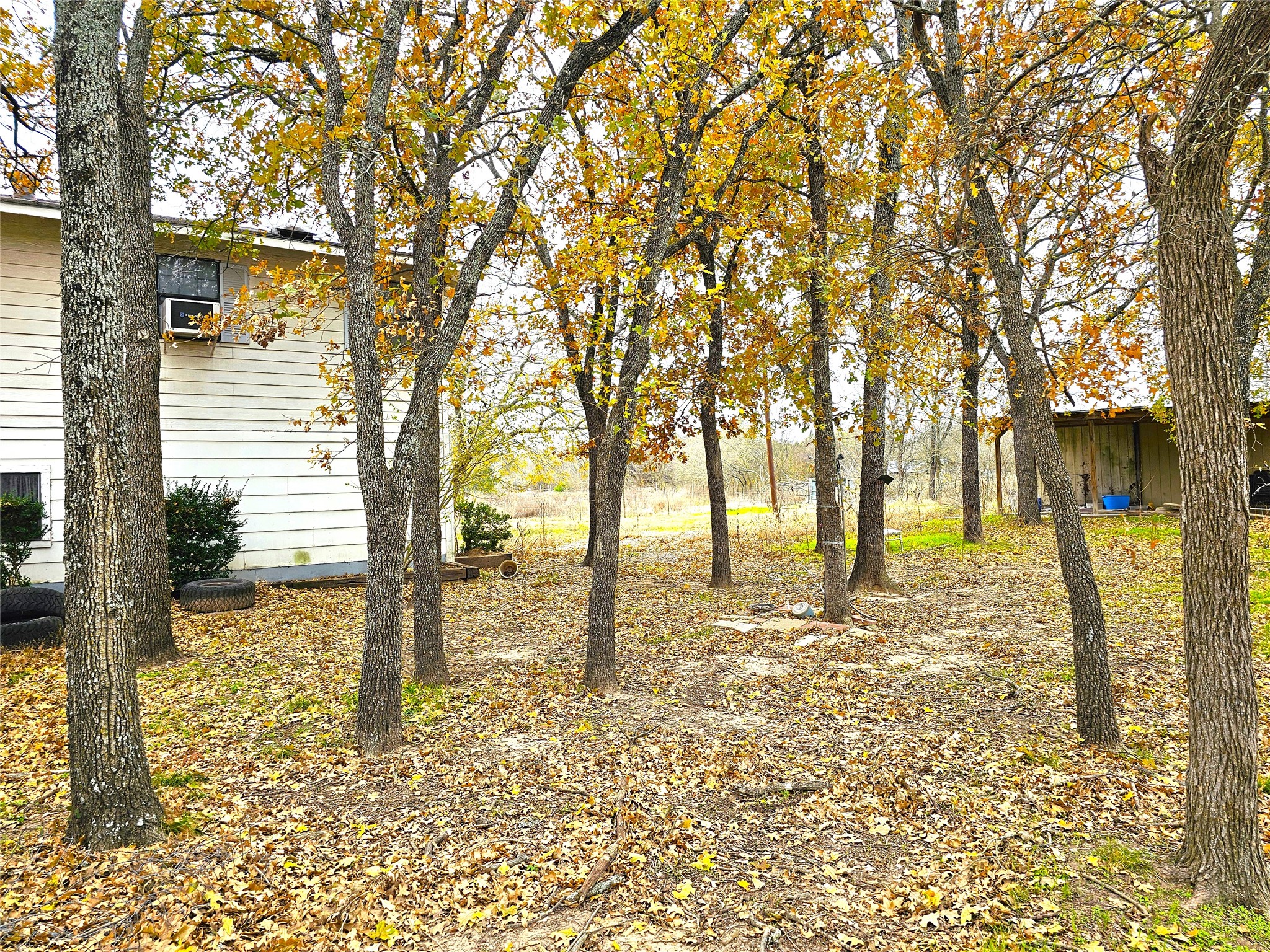 2240 County Road 2162 Barry TX 75102