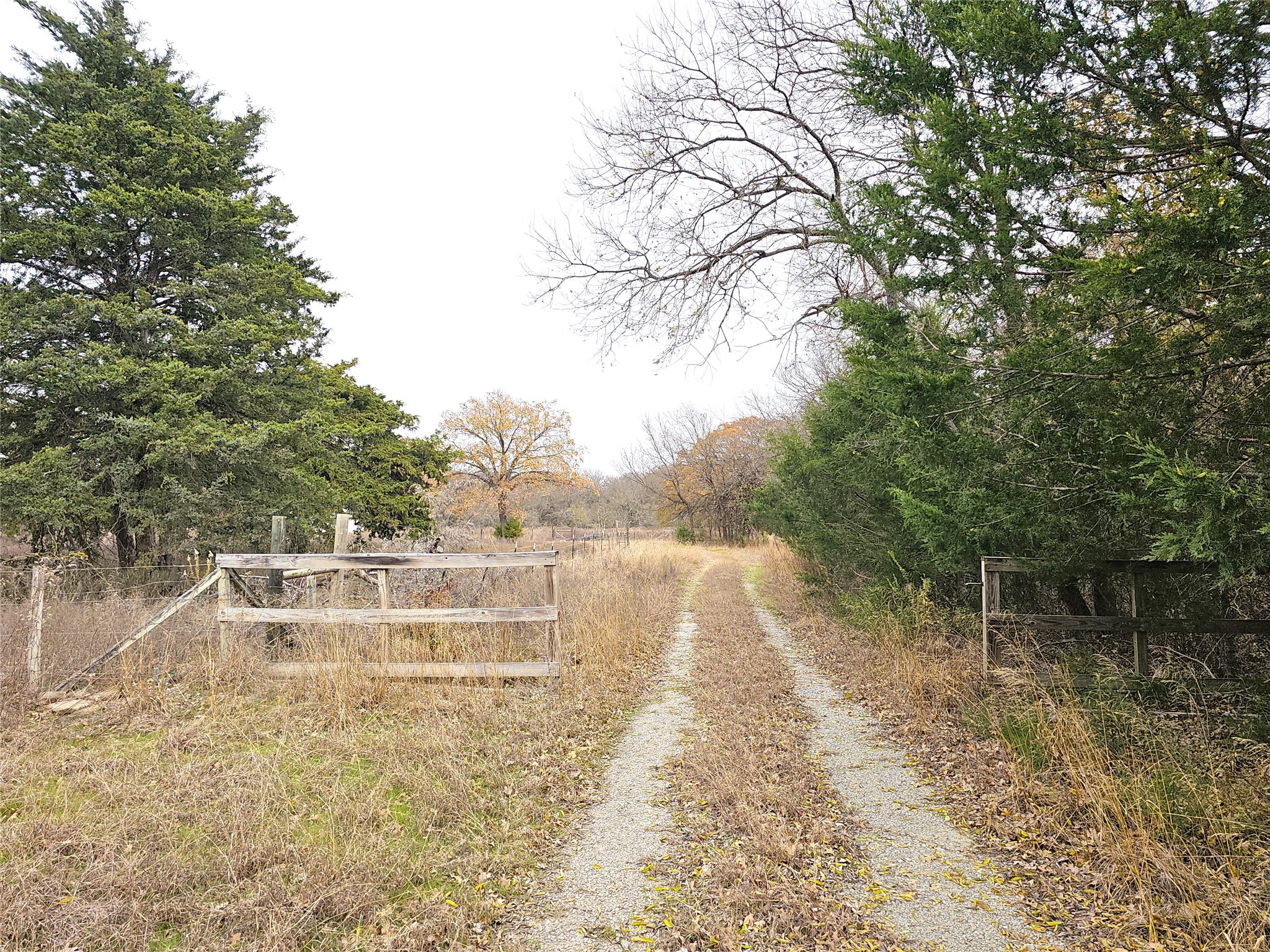 2240 County Road 2162 Barry TX 75102