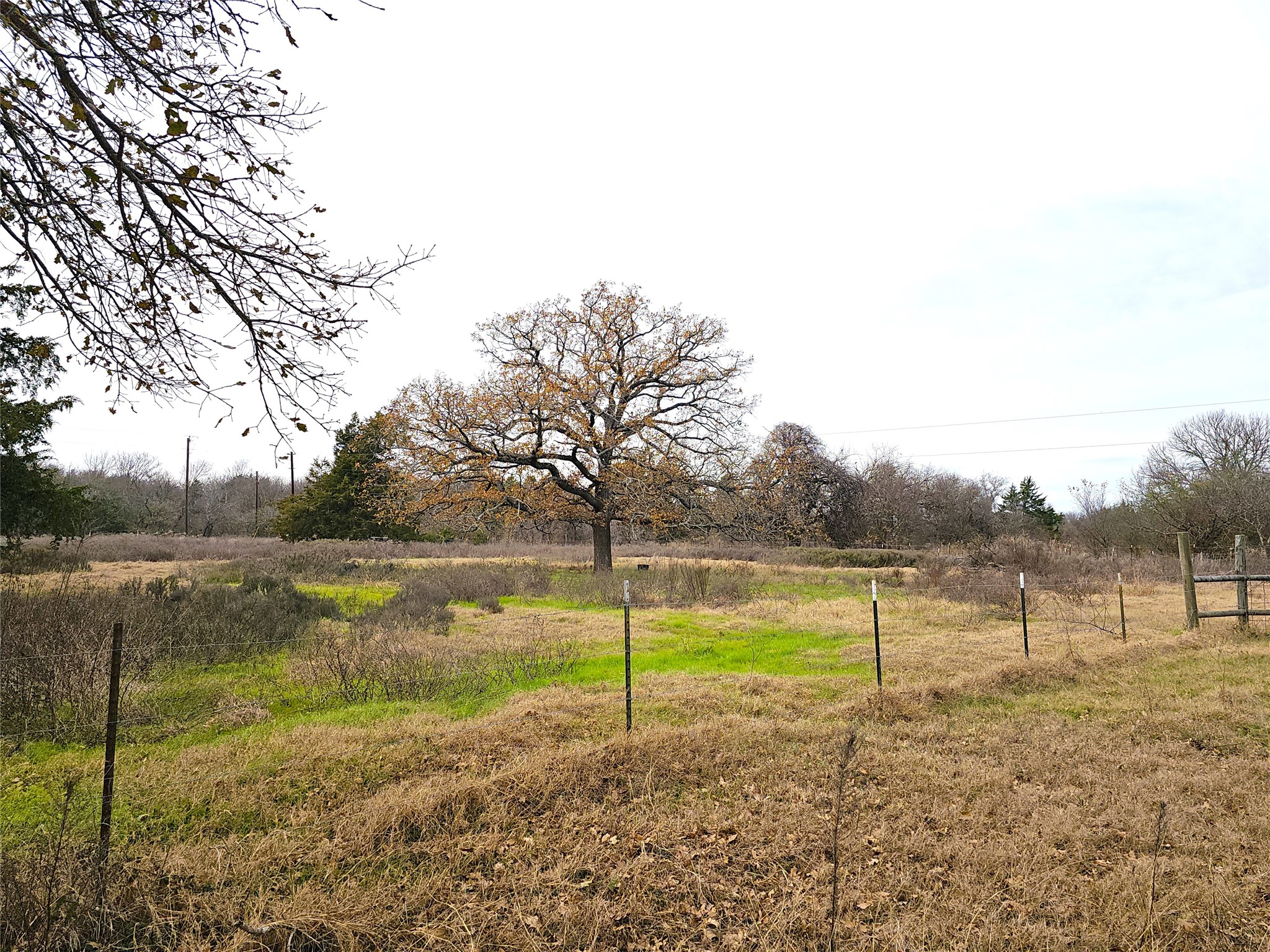 2240 County Road 2162 Barry TX 75102