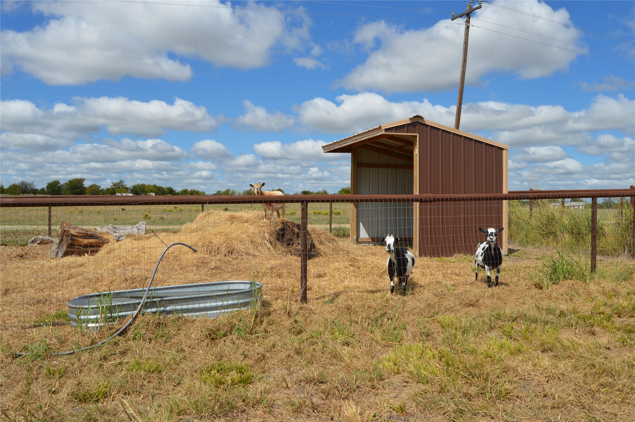 2055 County Road 2185 Klondike TX 75448