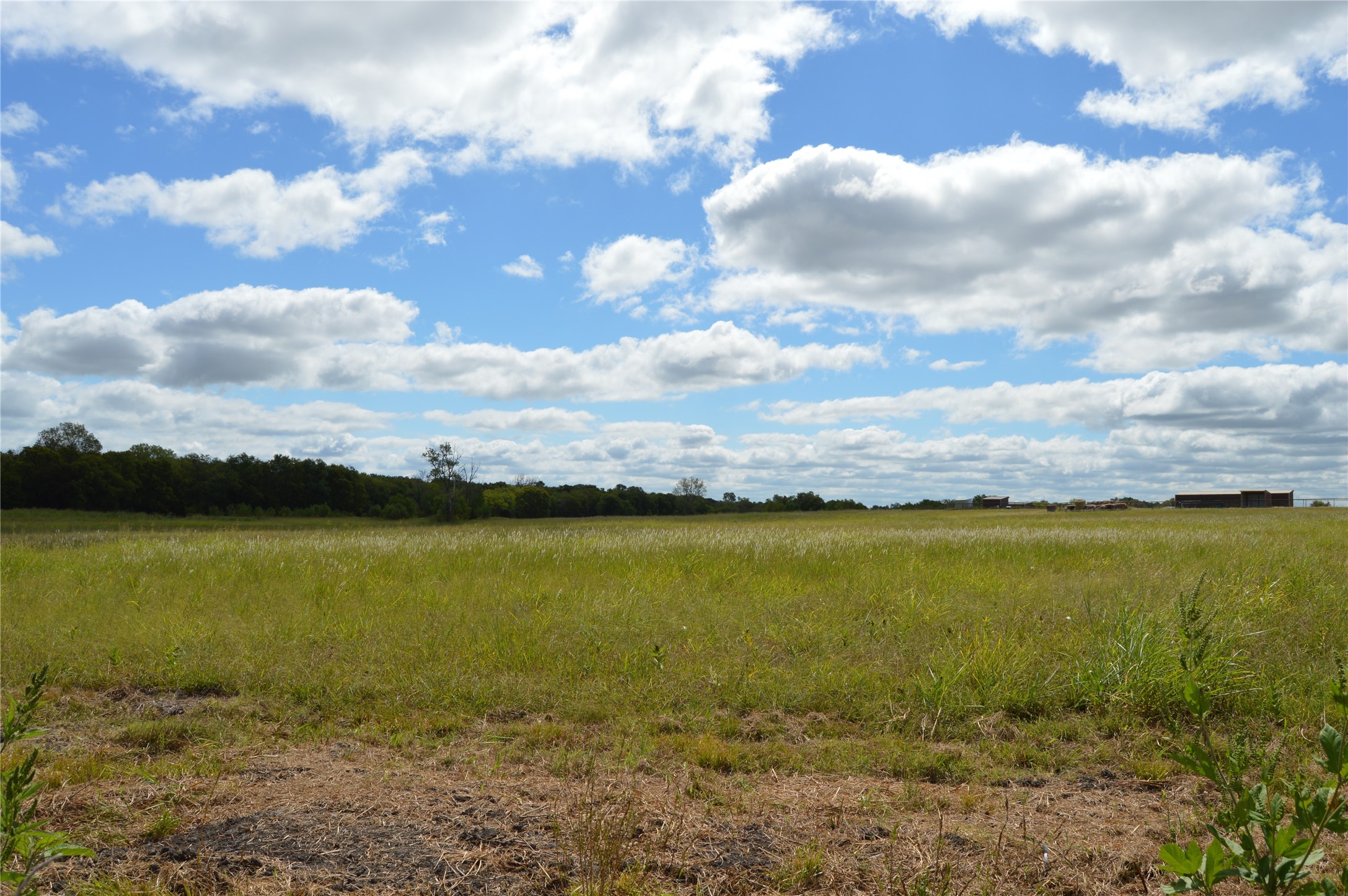2055 County Road 2185 Klondike TX 75448