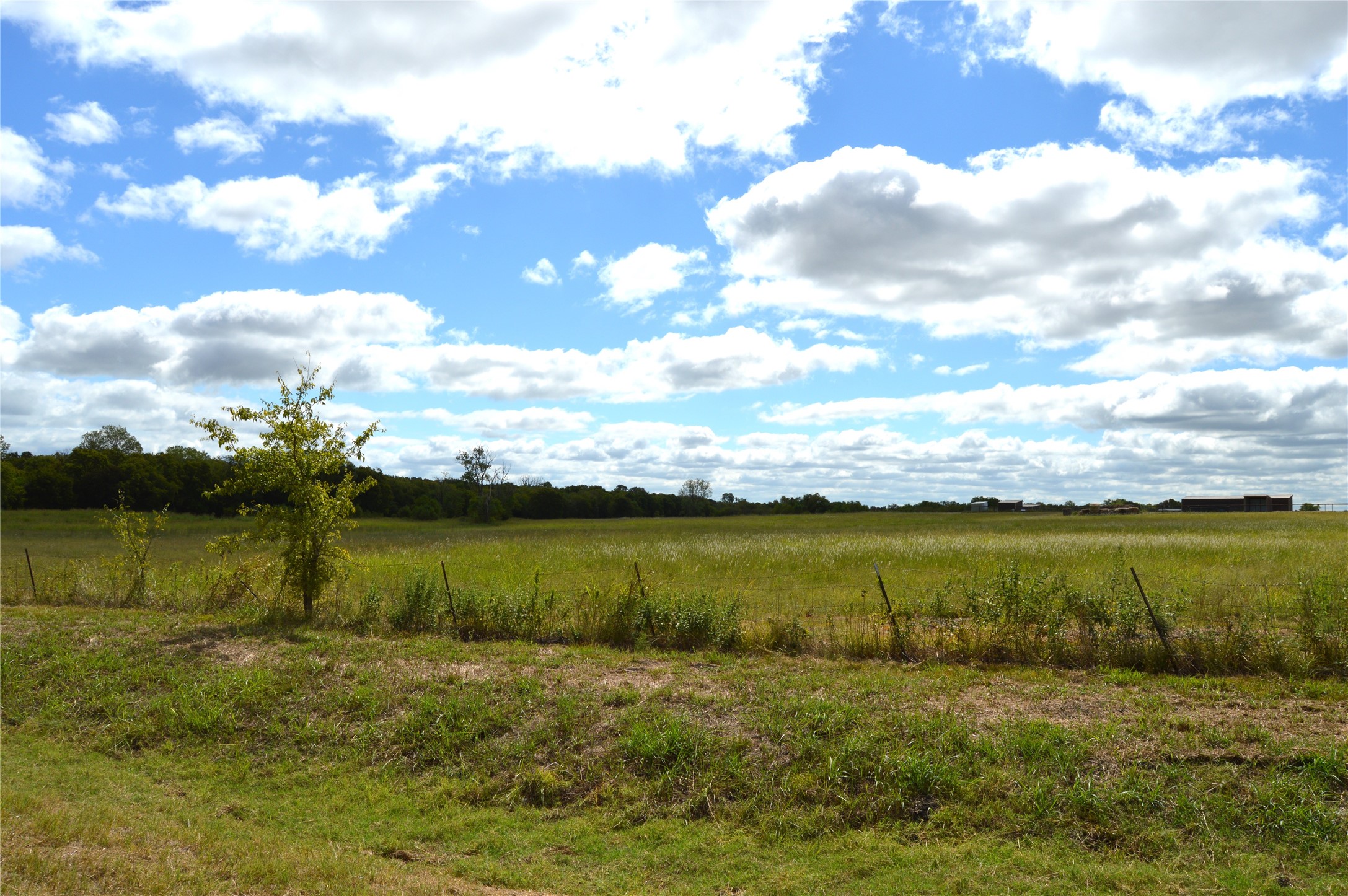 2055 County Road 2185 Klondike TX 75448